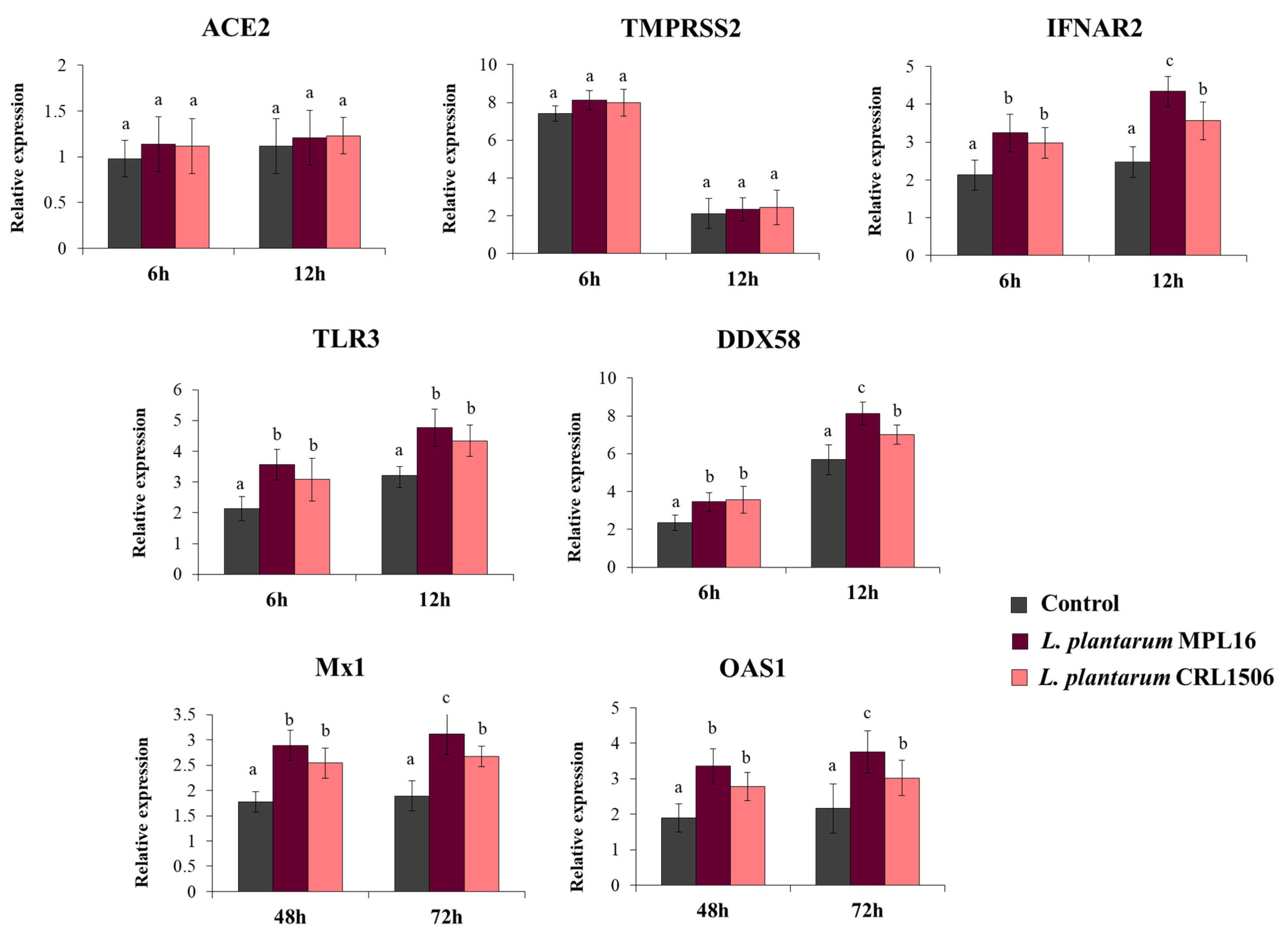 Pathogens 10 01197 g004