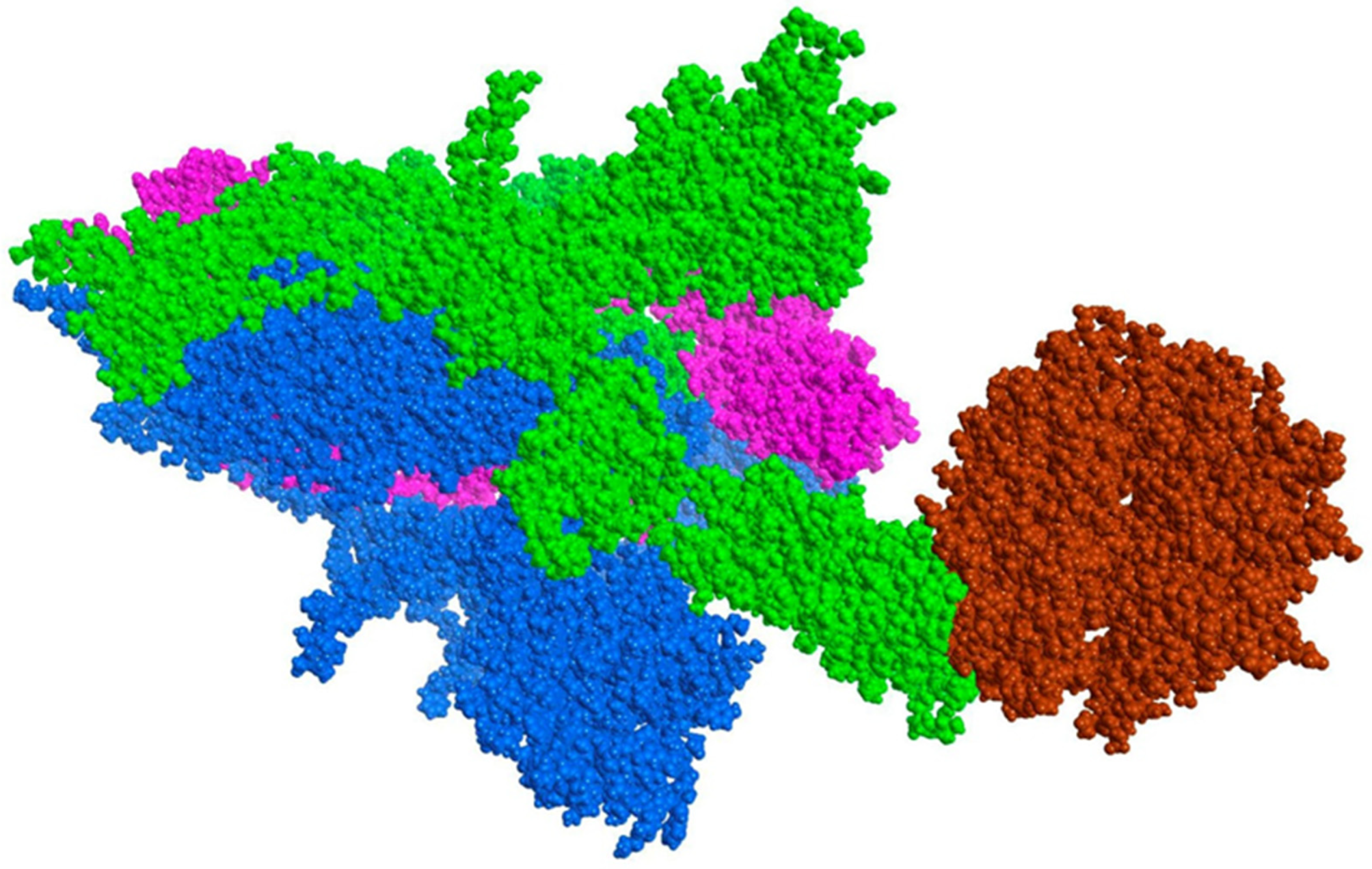 Pathogens 10 01208 g015