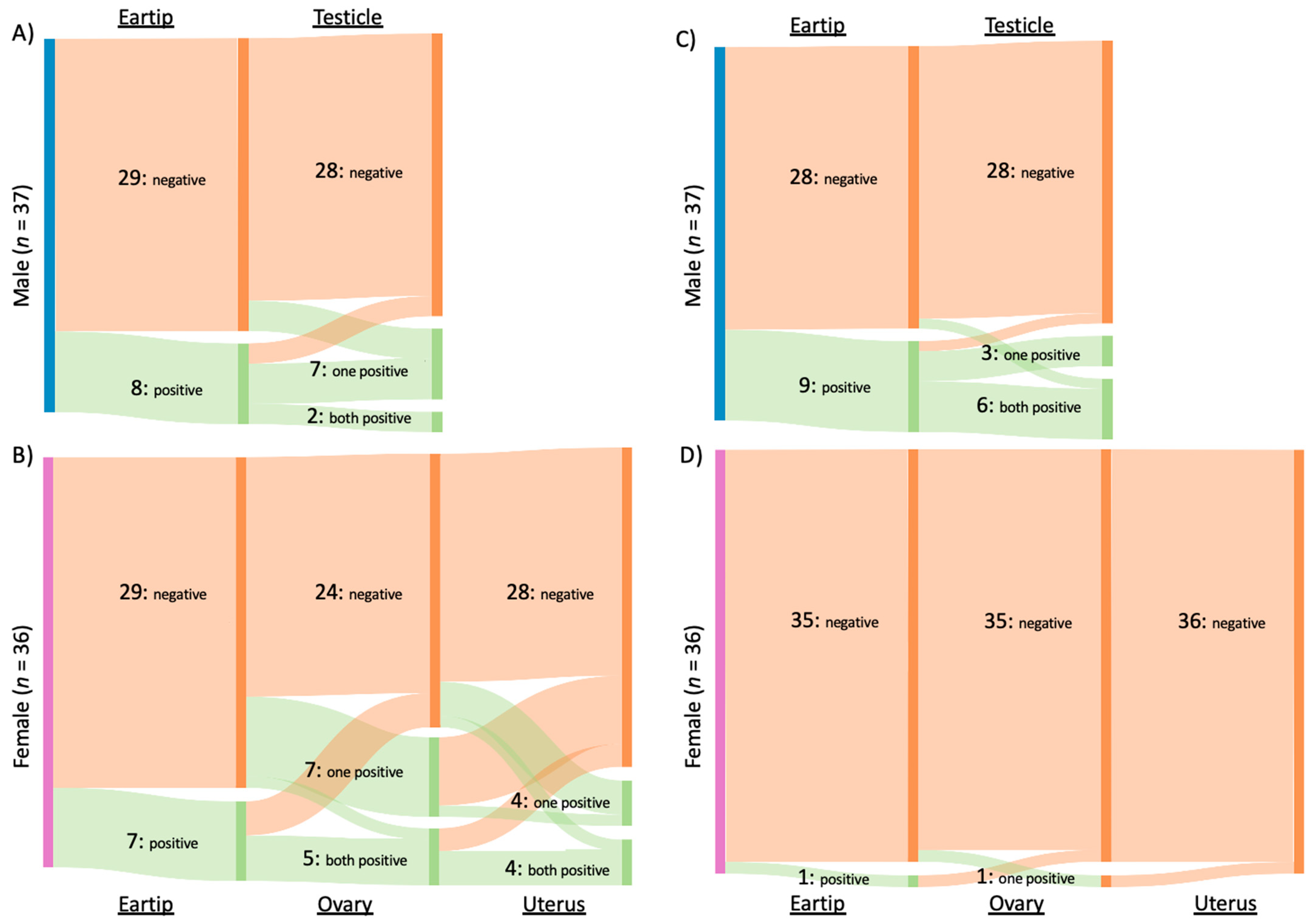 Pathogens 10 01221 g002