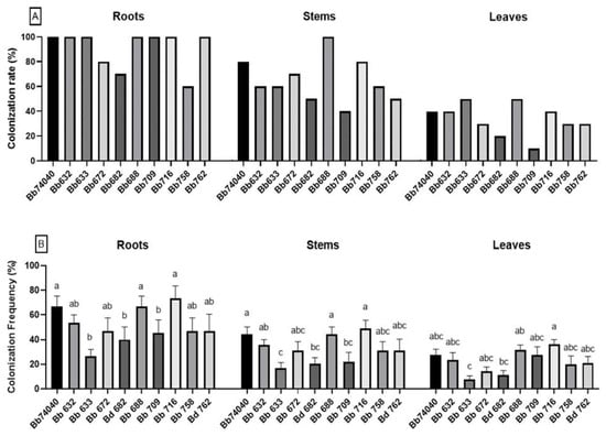 Pathogens Free Full Text Selection Of Endophytic Beauveria Bassiana As A Dual Biocontrol Agent Of Tomato Pathogens And Pests Html