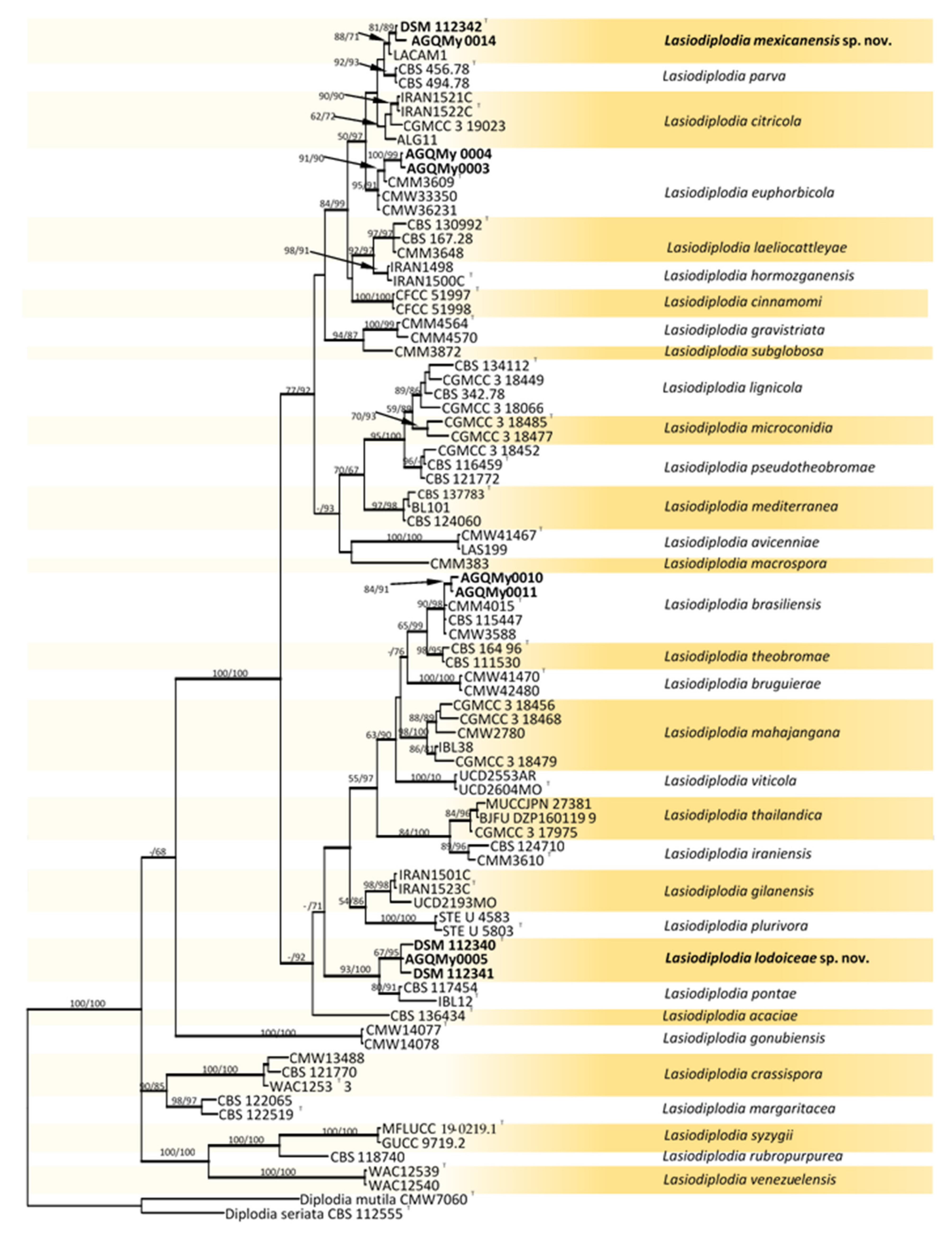 Pathogens 10 01297 g002
