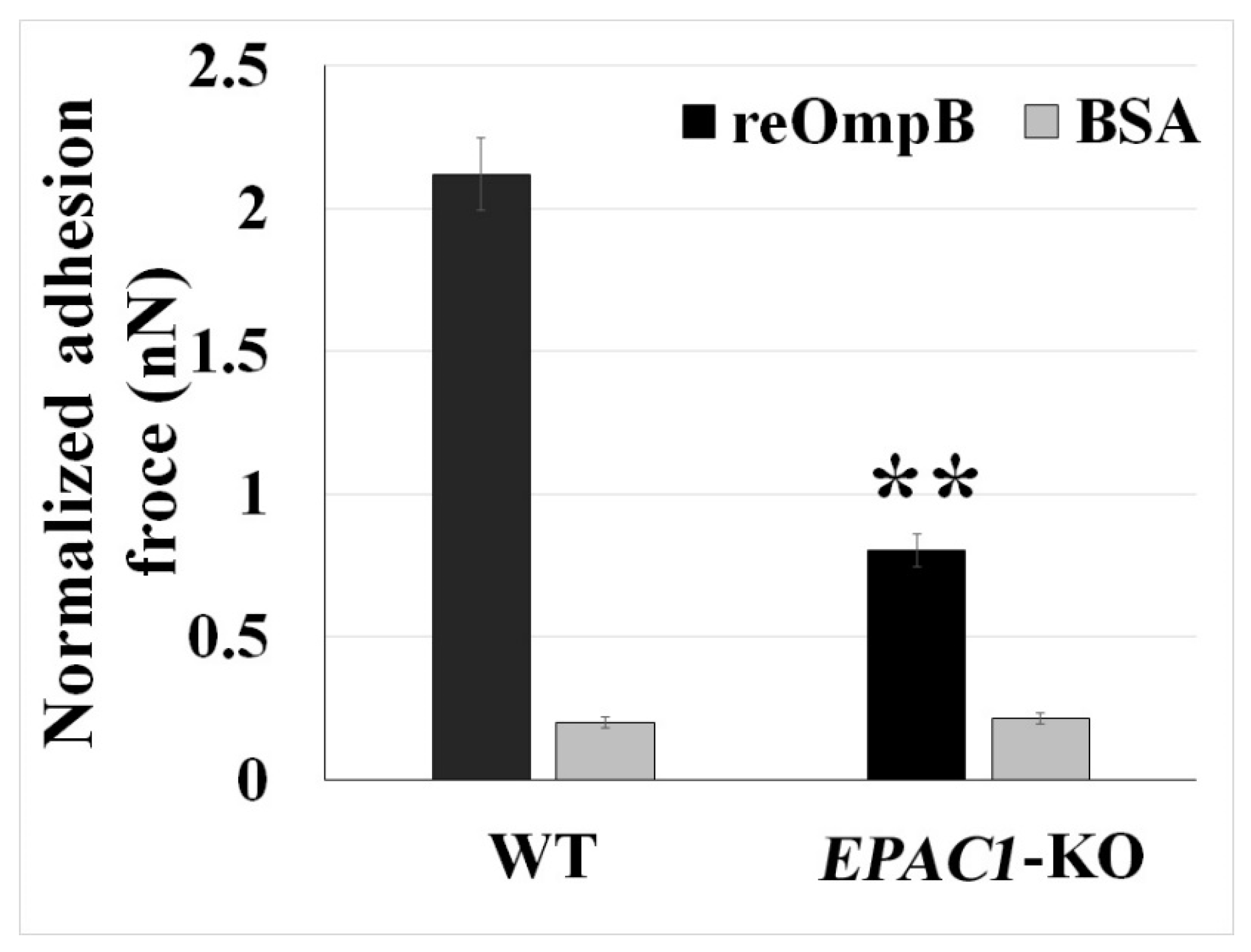 Pathogens 10 01307 g003