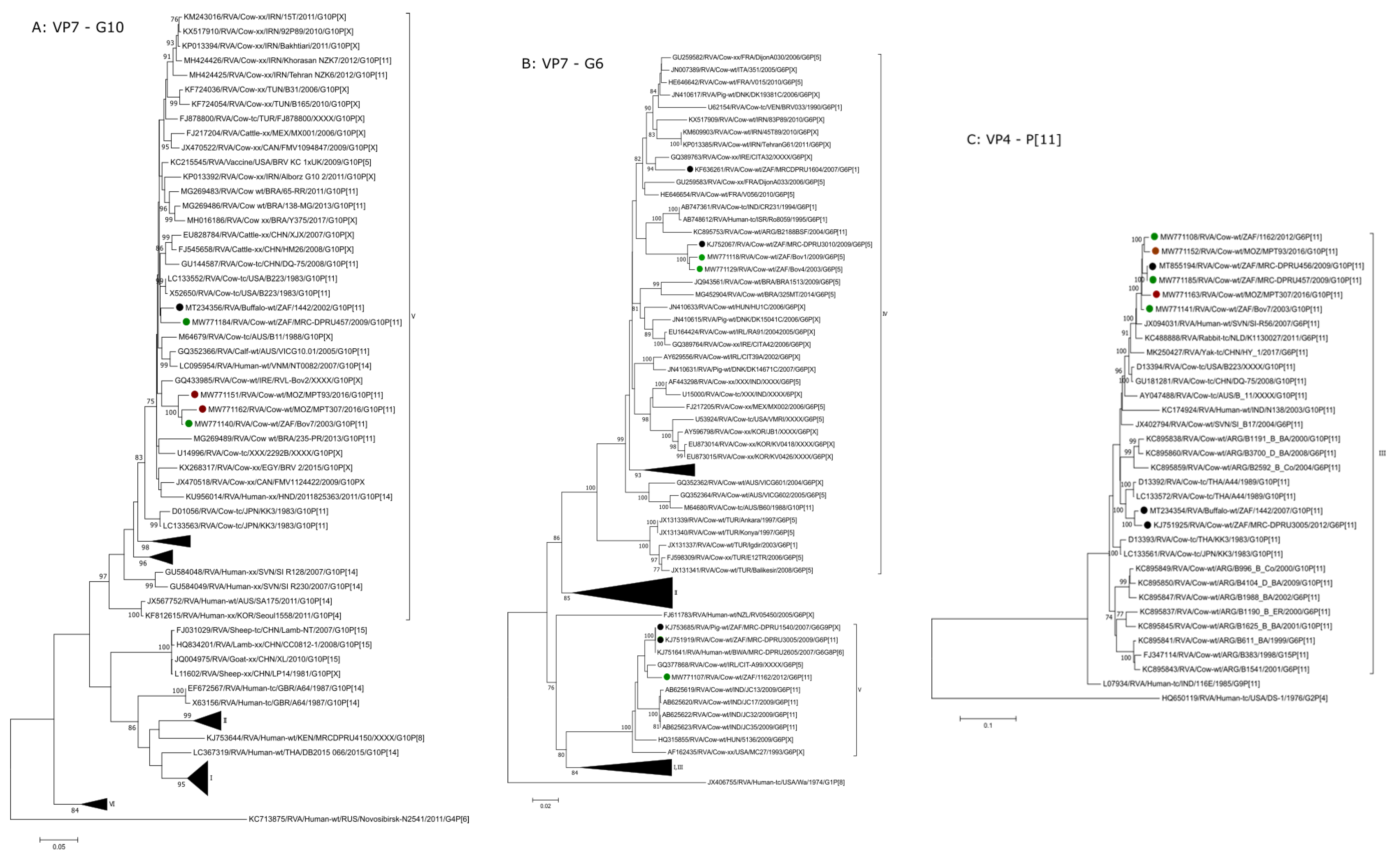 Pathogens 10 01308 g002a