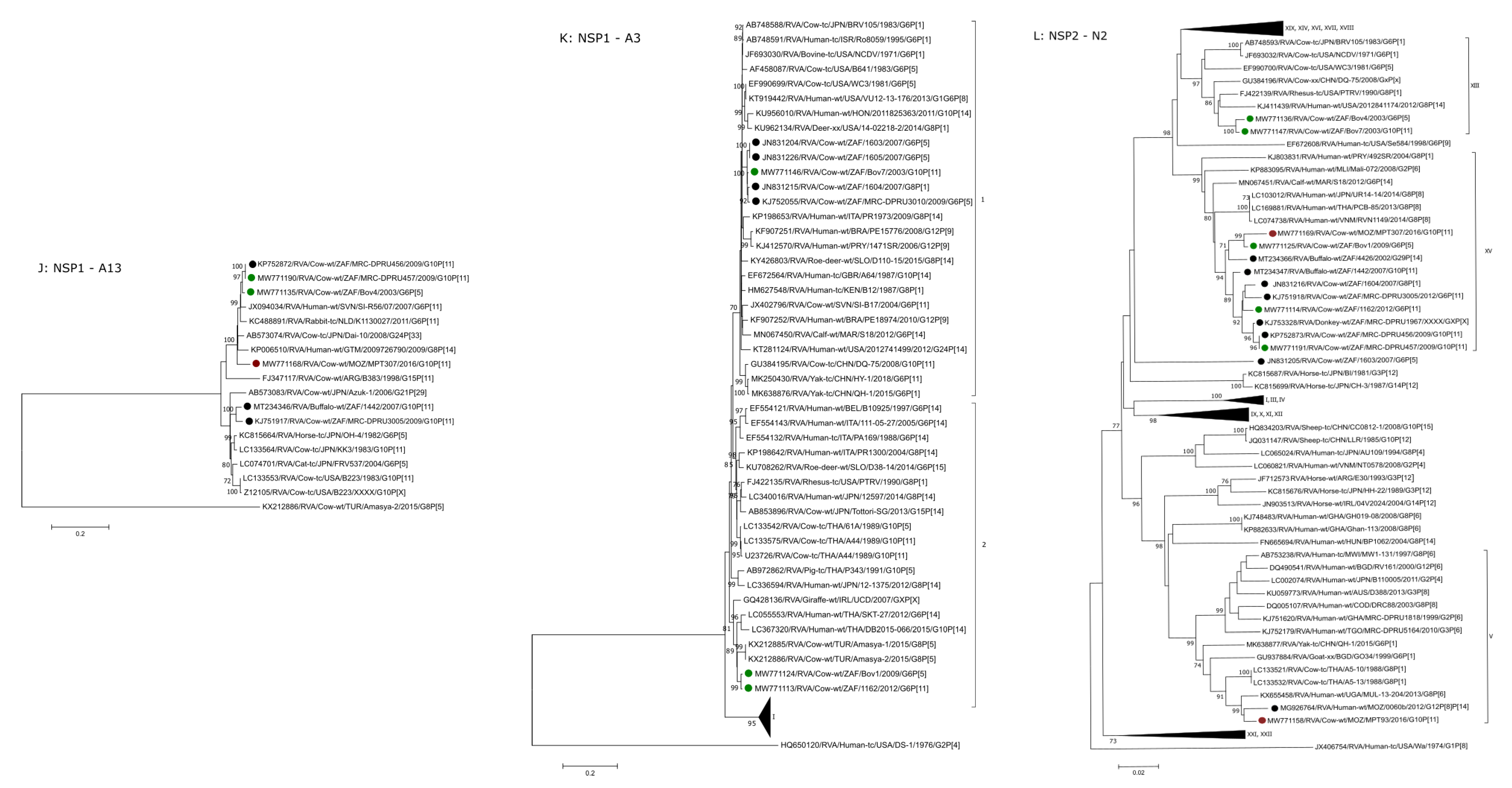Pathogens 10 01308 g002d
