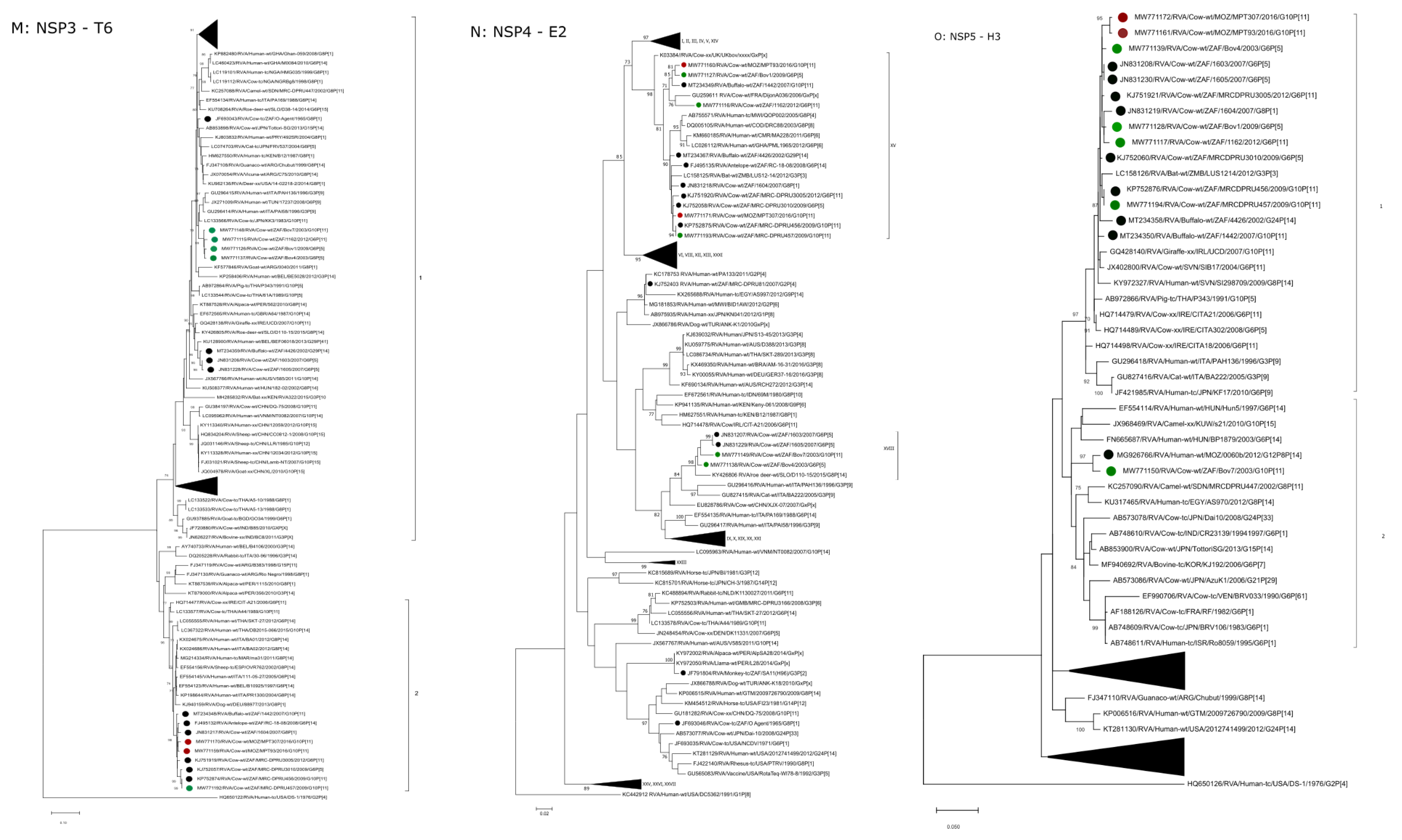 Pathogens 10 01308 g002e