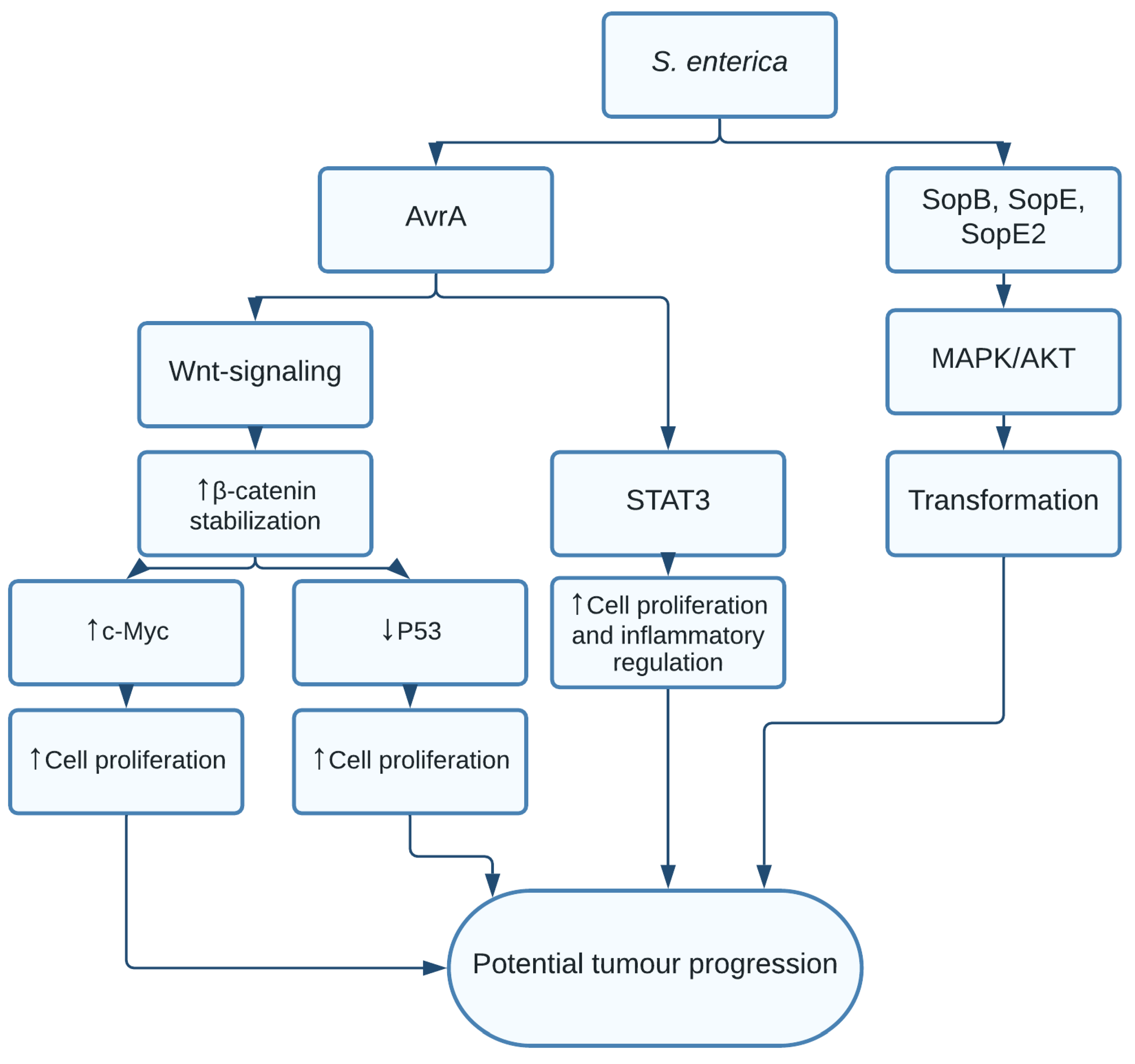 Pathogens 10 01321 g003