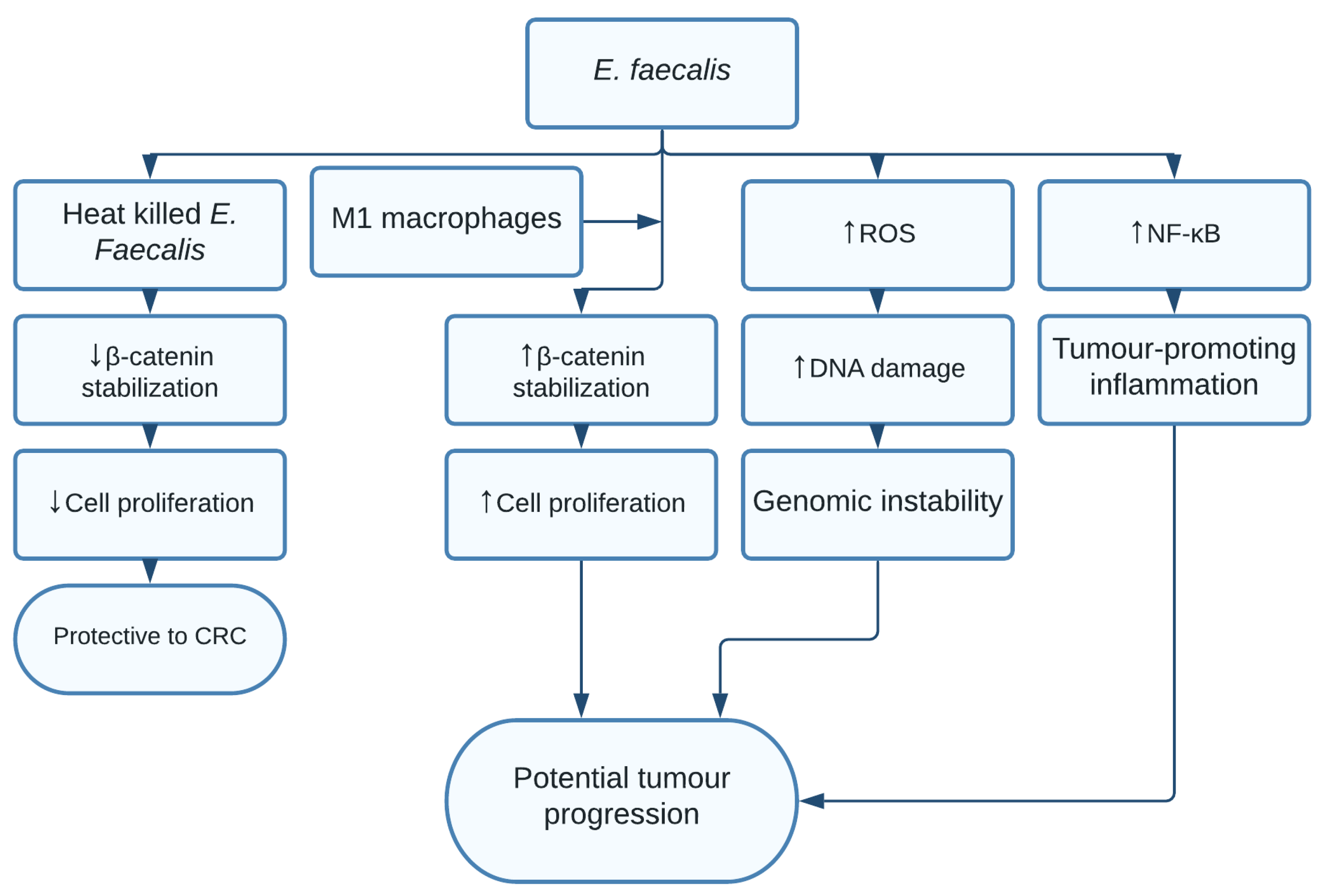 Pathogens 10 01321 g011