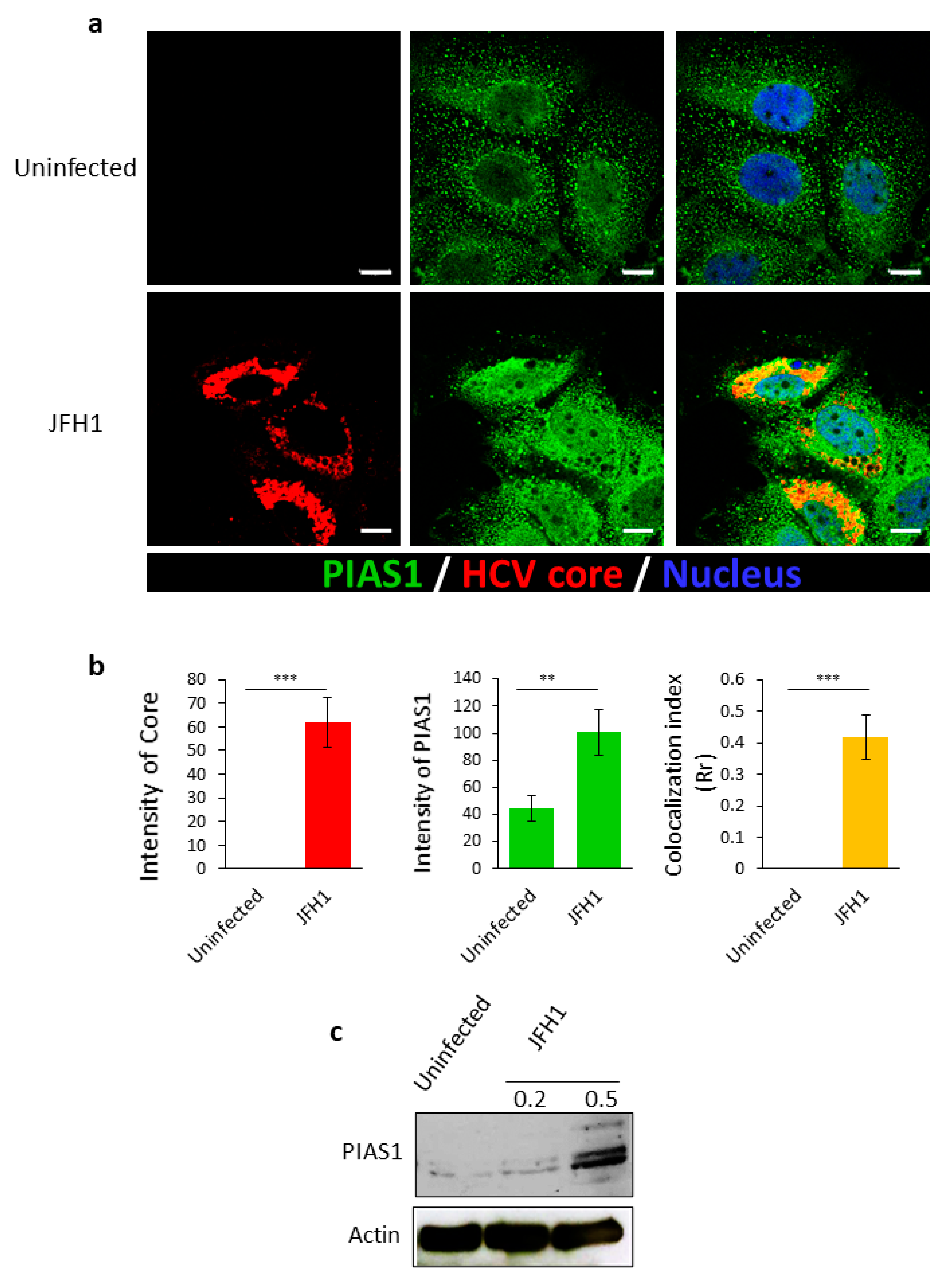Pathogens 10 01327 g001