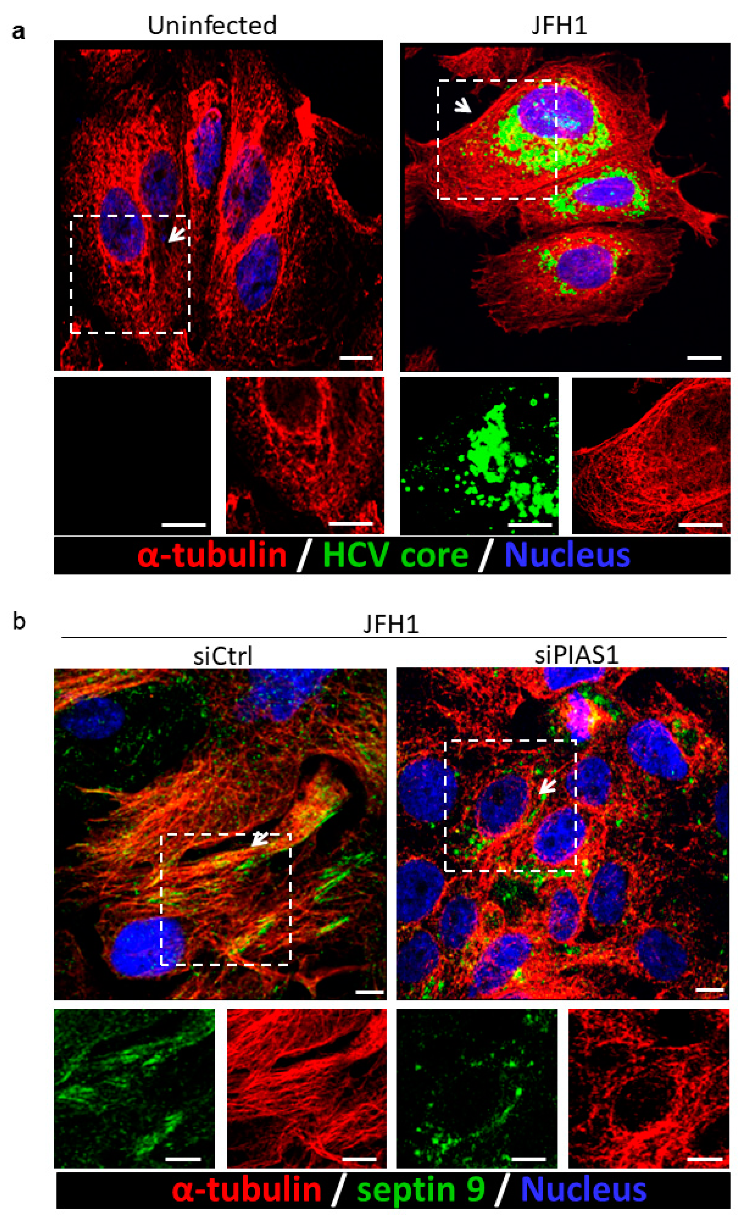 Pathogens 10 01327 g003