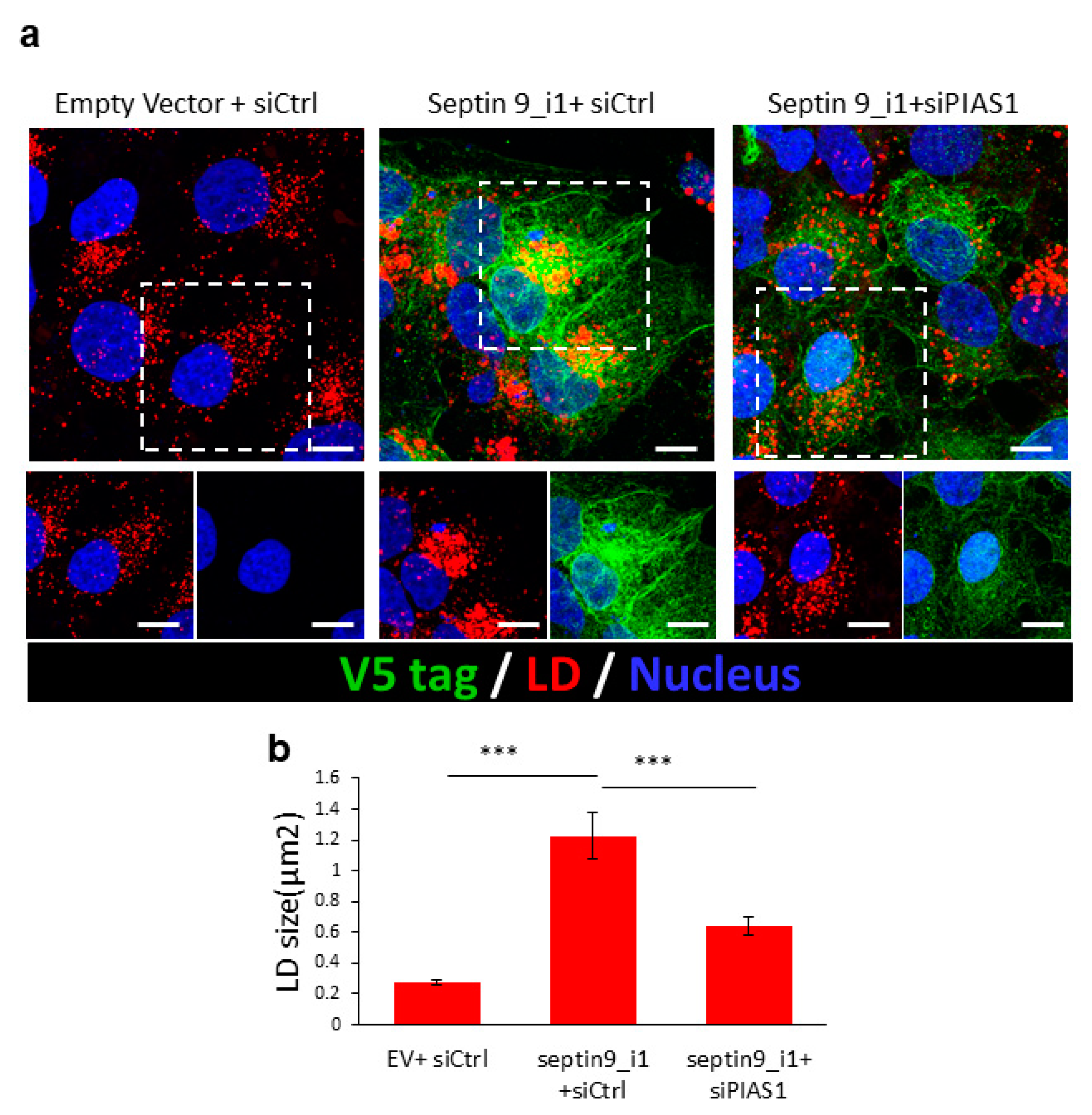 Pathogens 10 01327 g005