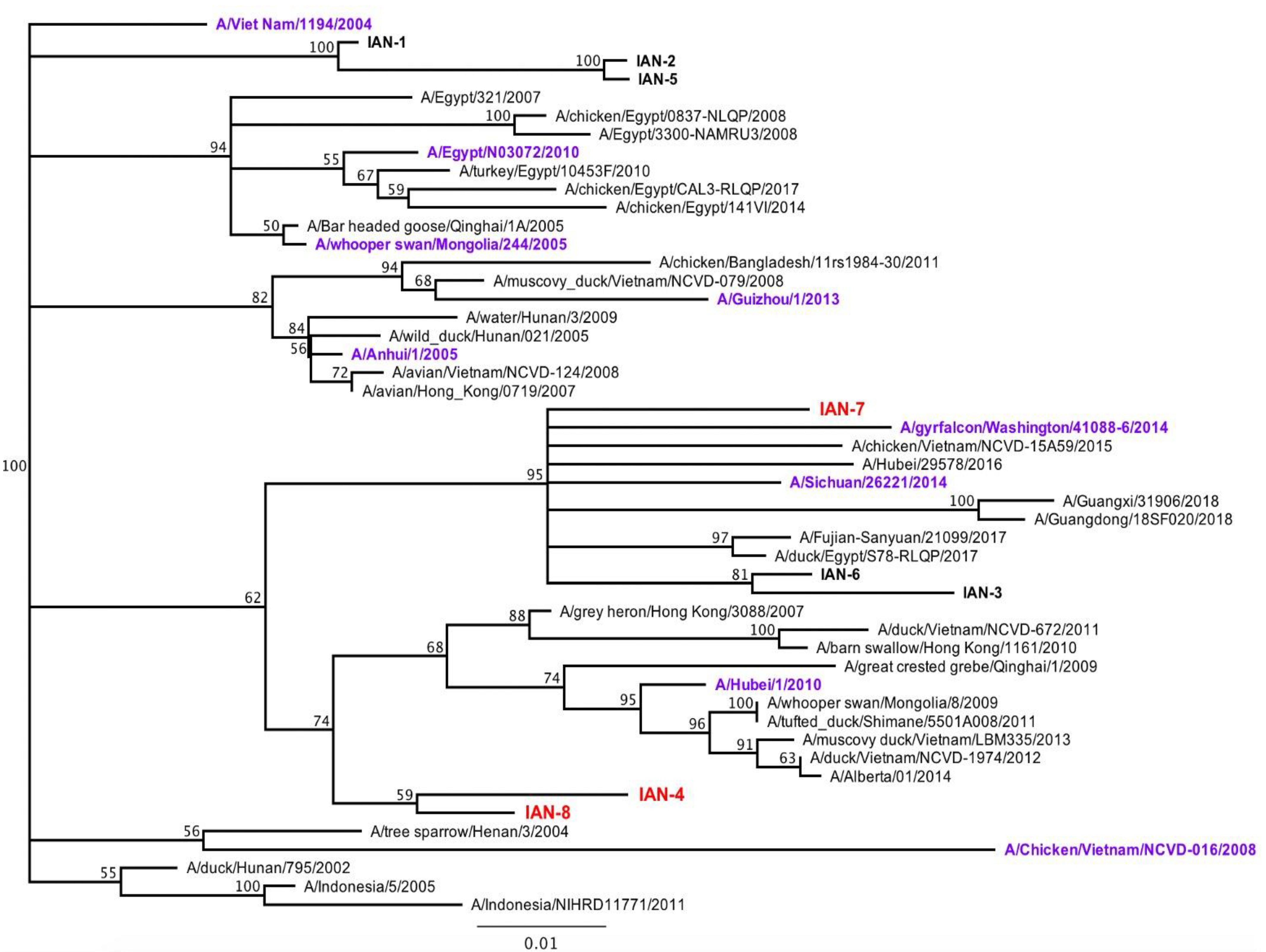 Pathogens 10 01352 g001