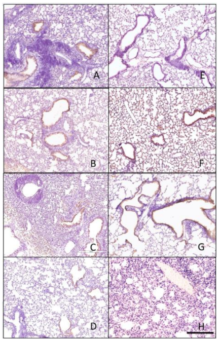 Pathogens 10 01352 g009