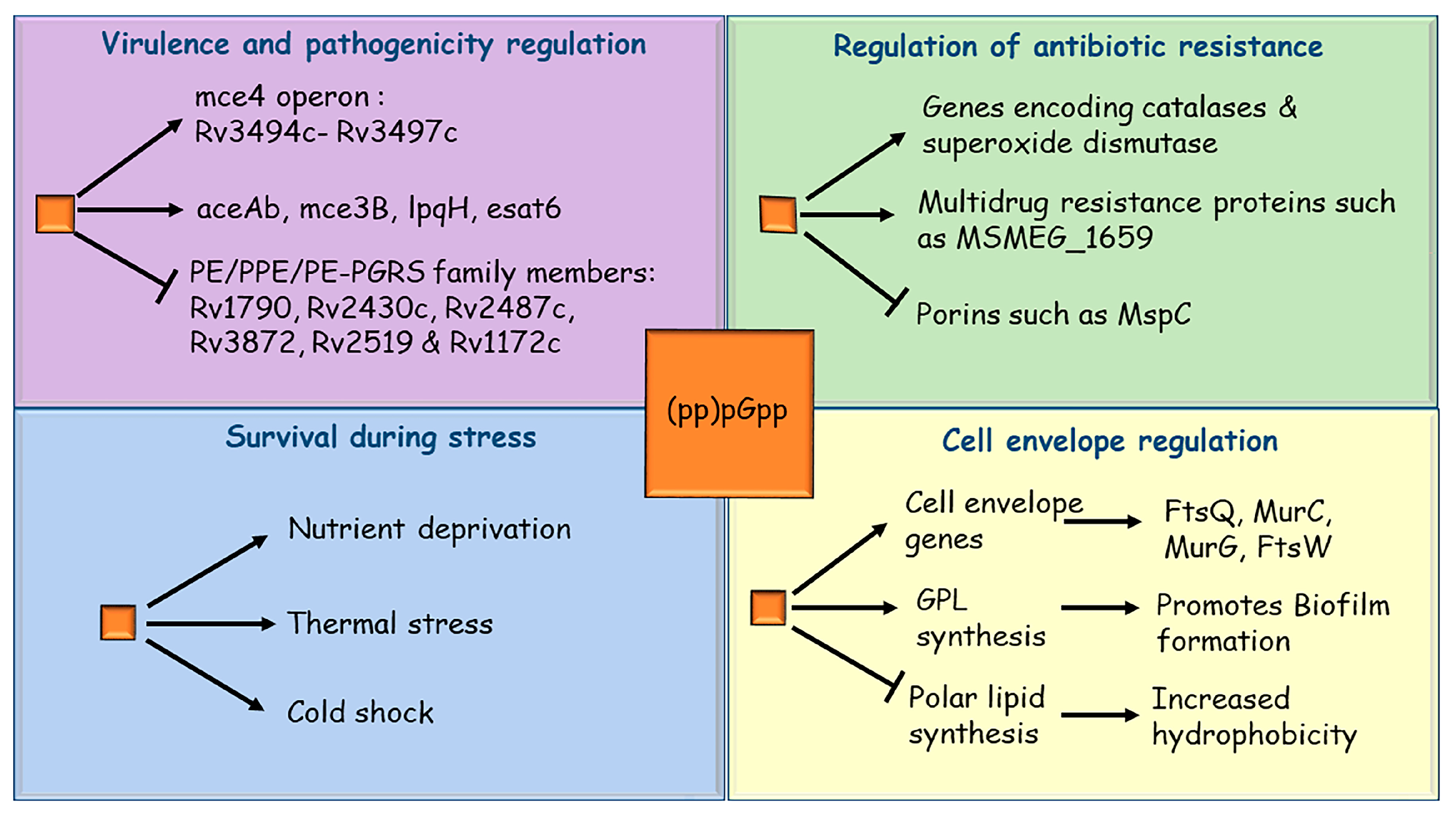 Pathogens 10 01417 g002 Pathogens 10 01417 g002