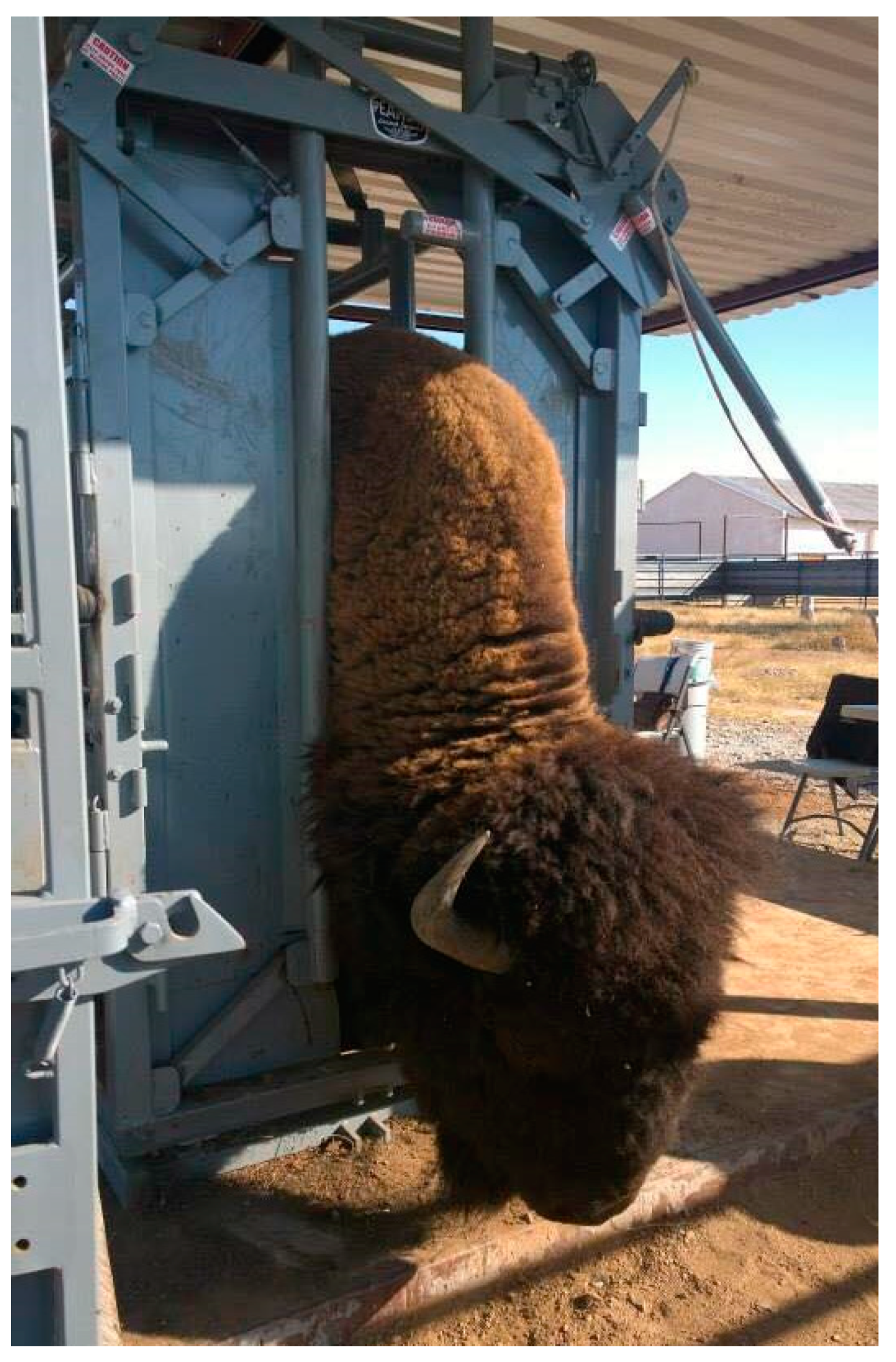 Pathogens 10 01428 g005 Pathogens 10 01428 g005