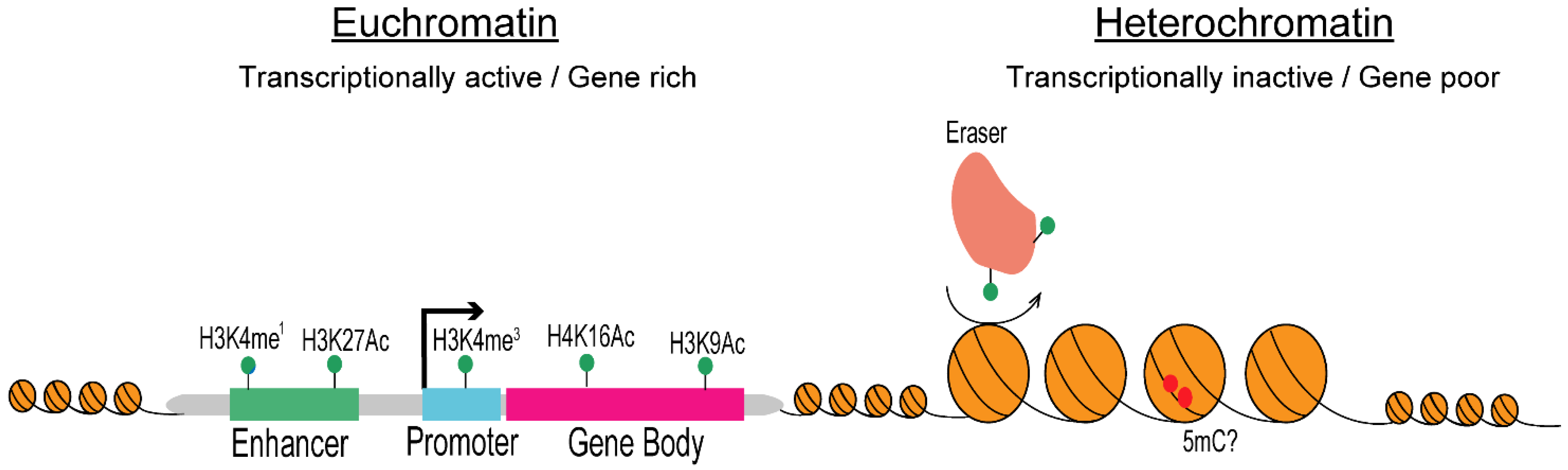 Pathogens 10 01463 g003 Pathogens 10 01463 g003