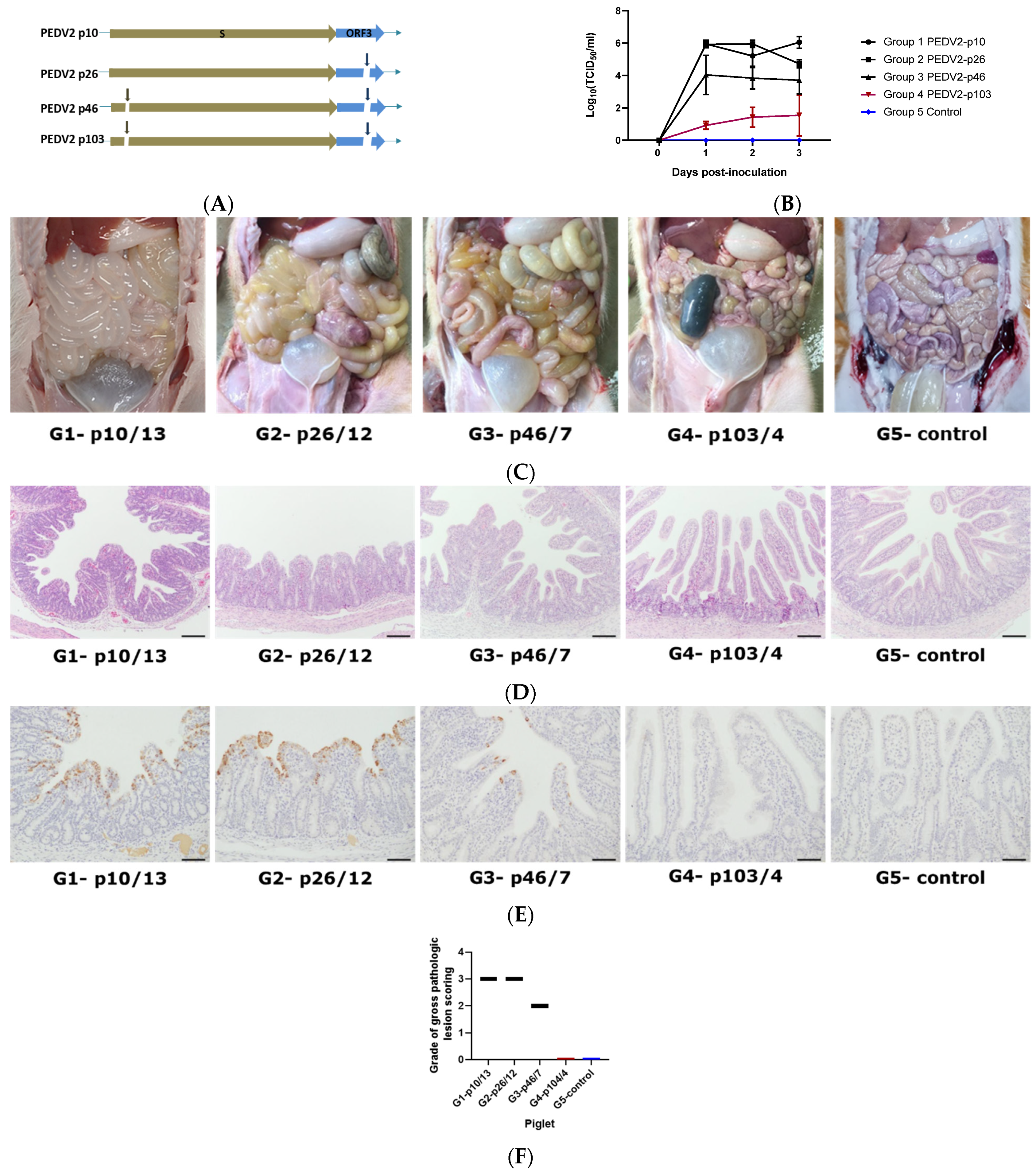 Pathogens 10 01479 g003