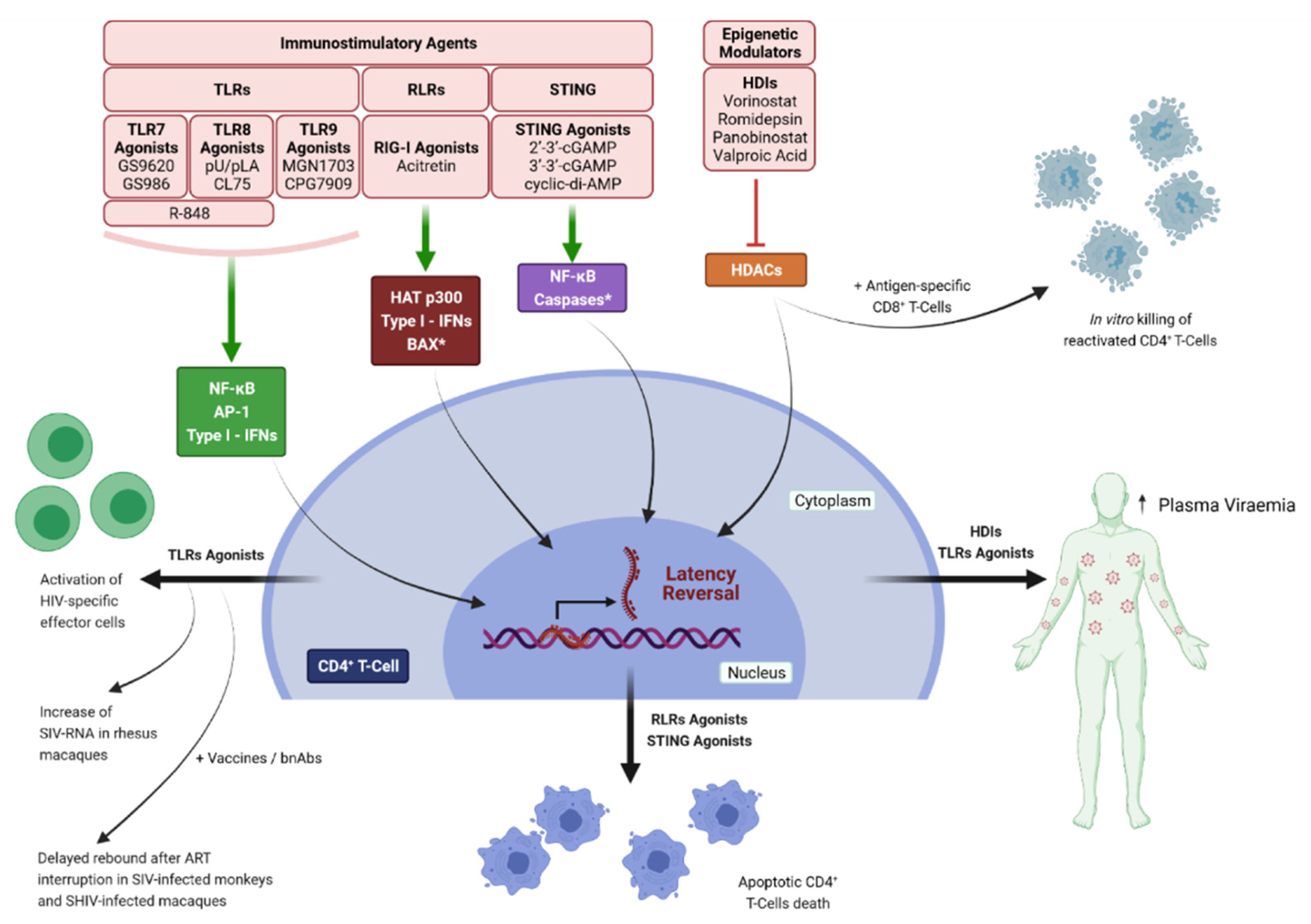 Pathogens 10 01517 g003