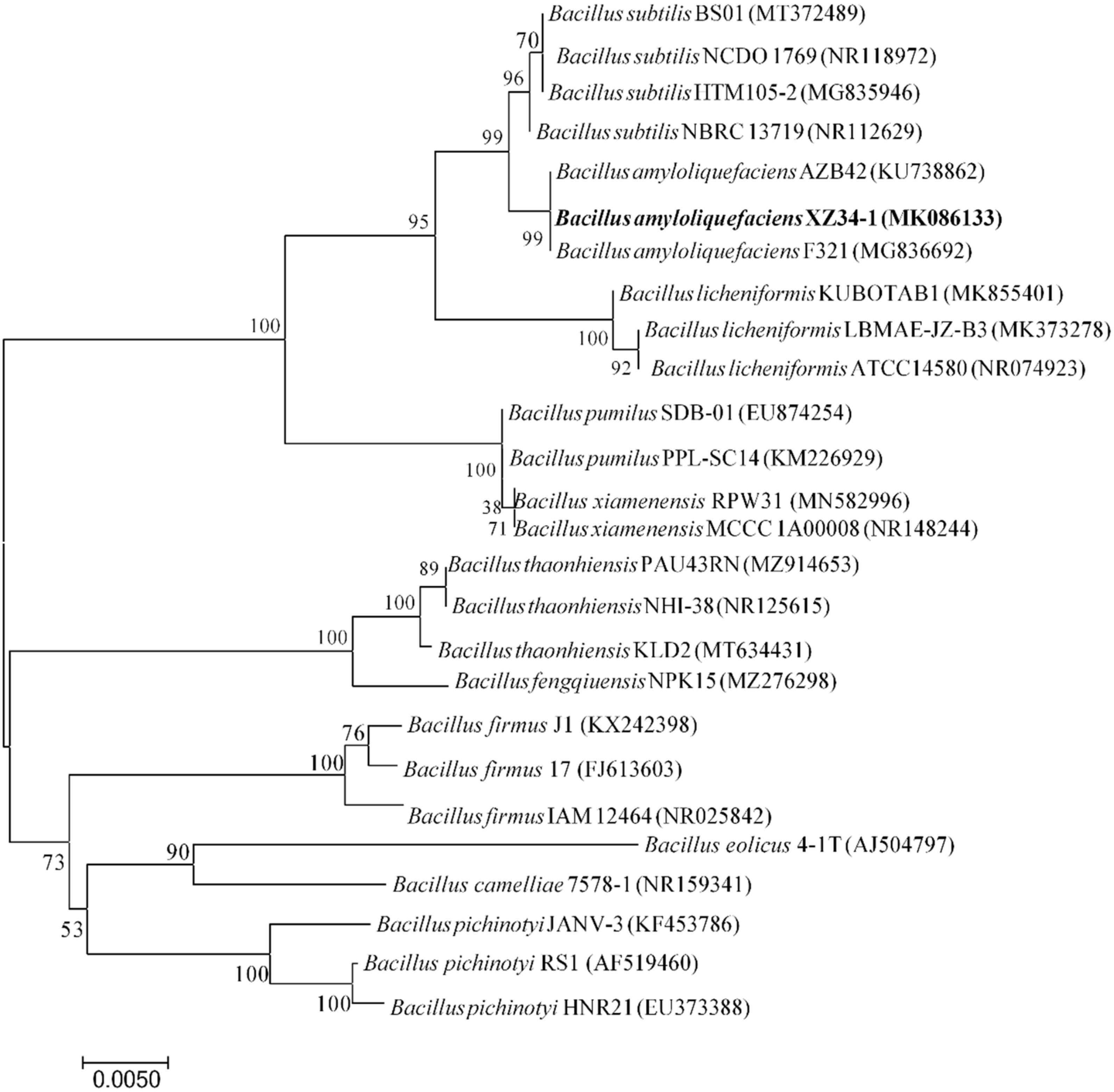 Pathogens 10 01526 g001