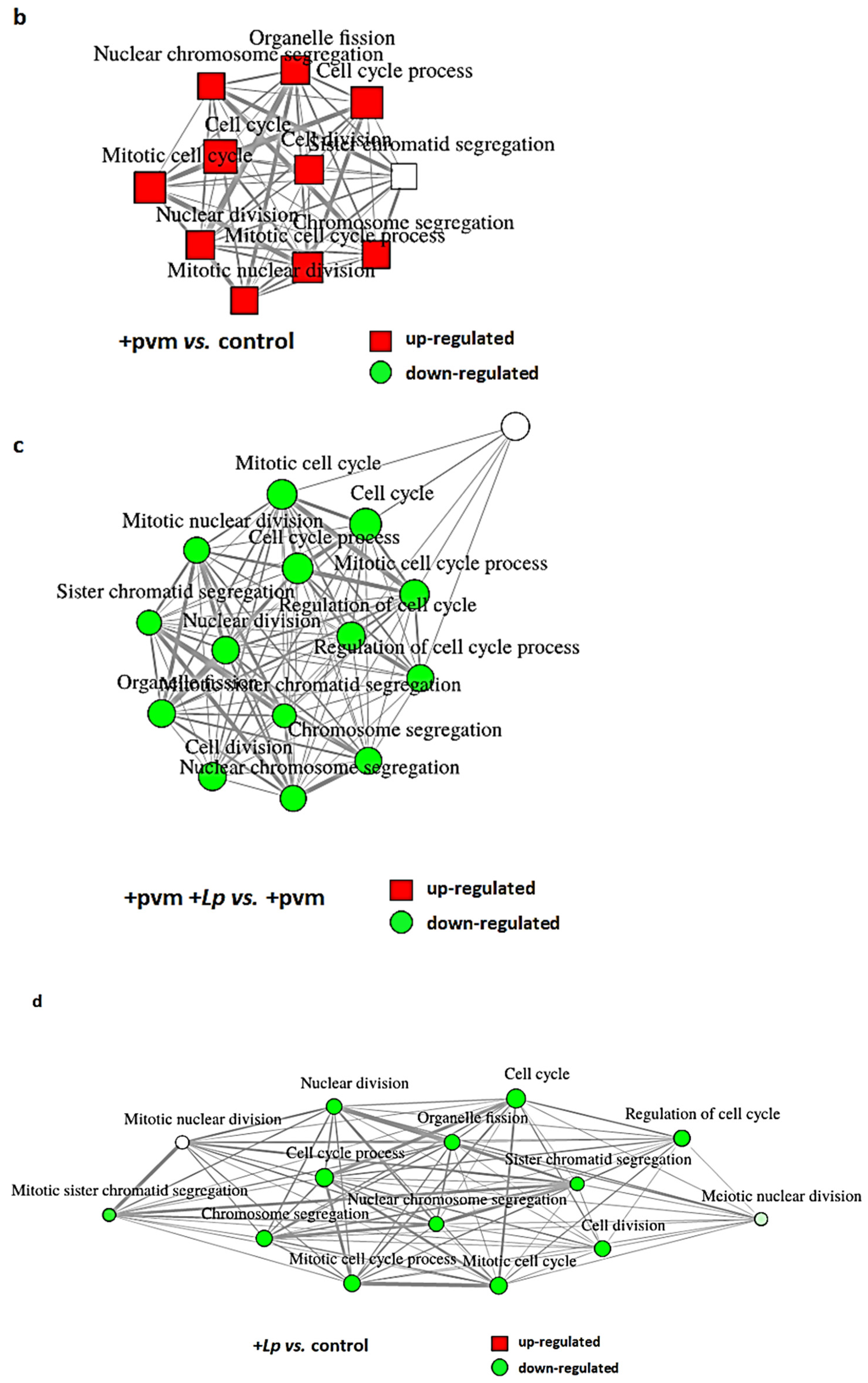 Pathogens 10 01625 g003b Pathogens 10 01625 g003b