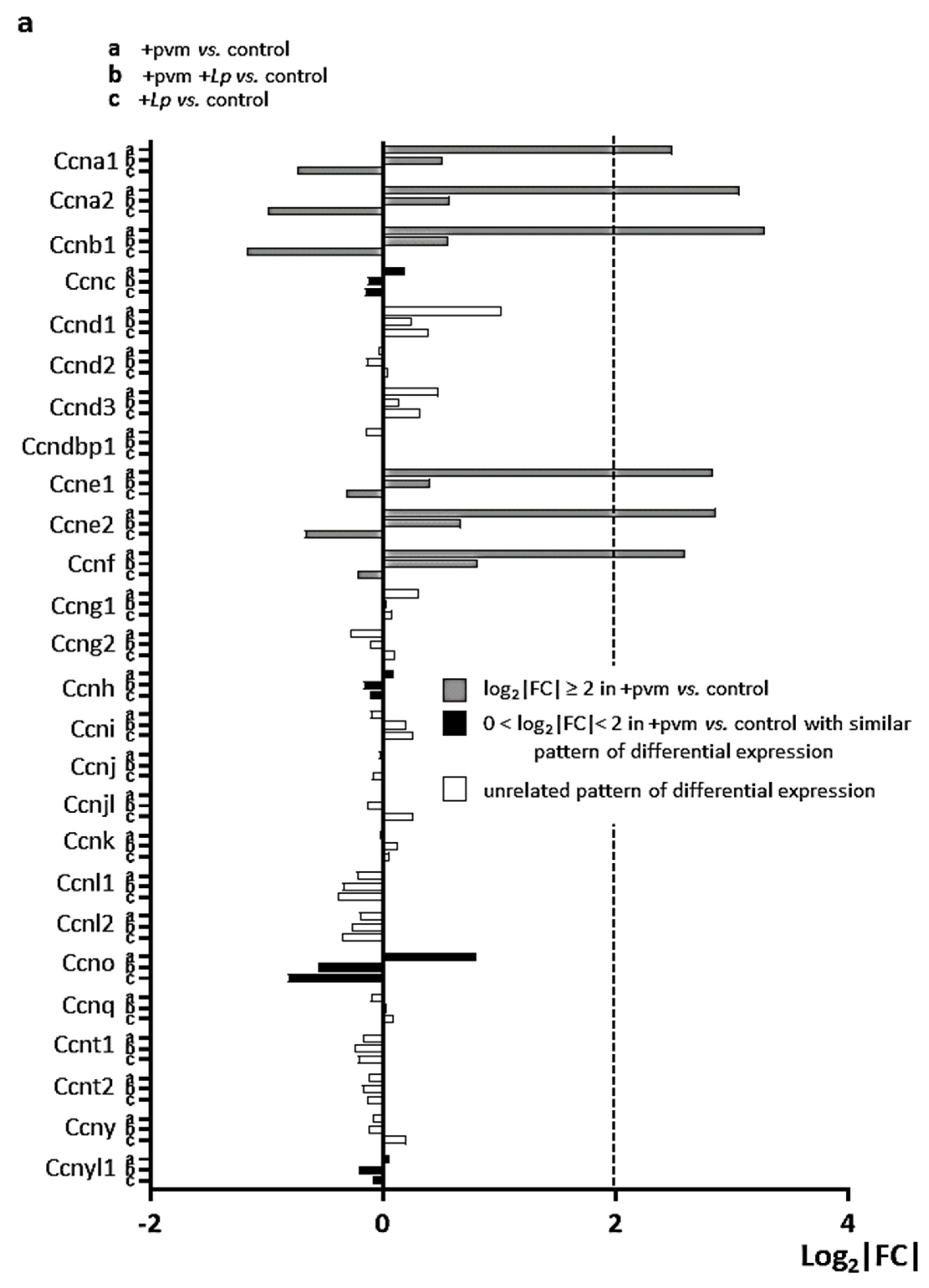 Pathogens 10 01625 g004a Pathogens 10 01625 g004a