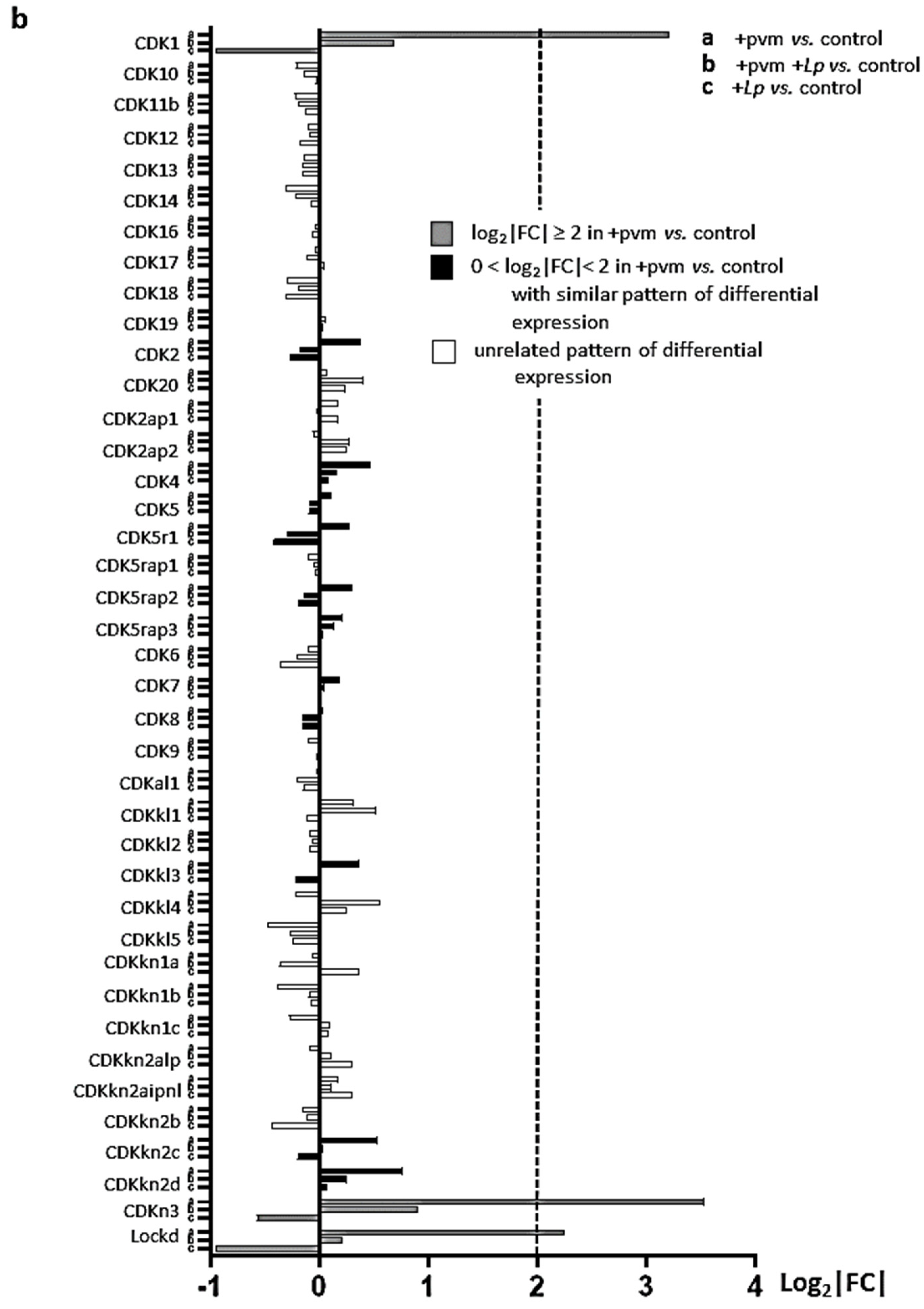 Pathogens 10 01625 g004b Pathogens 10 01625 g004b