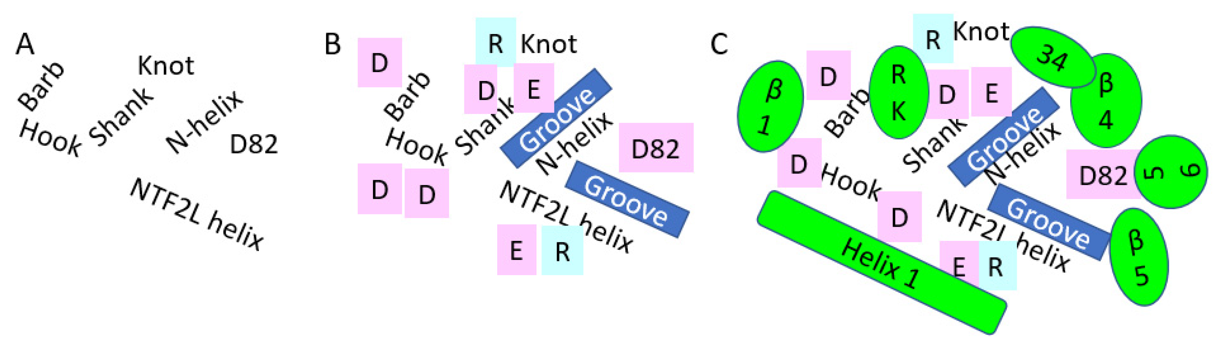 Pathogens 10 01634 g003