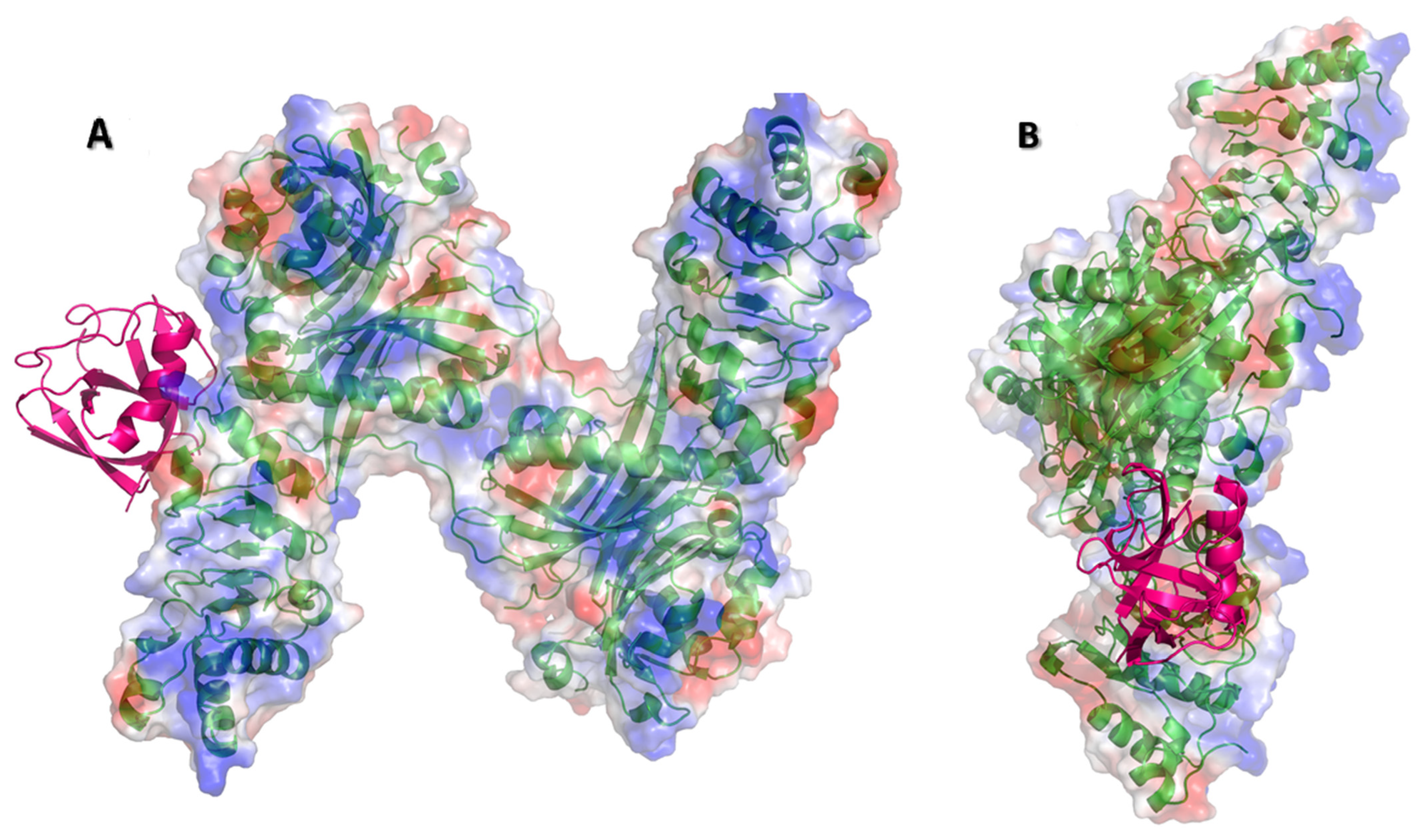 Pathogens 10 01634 g004