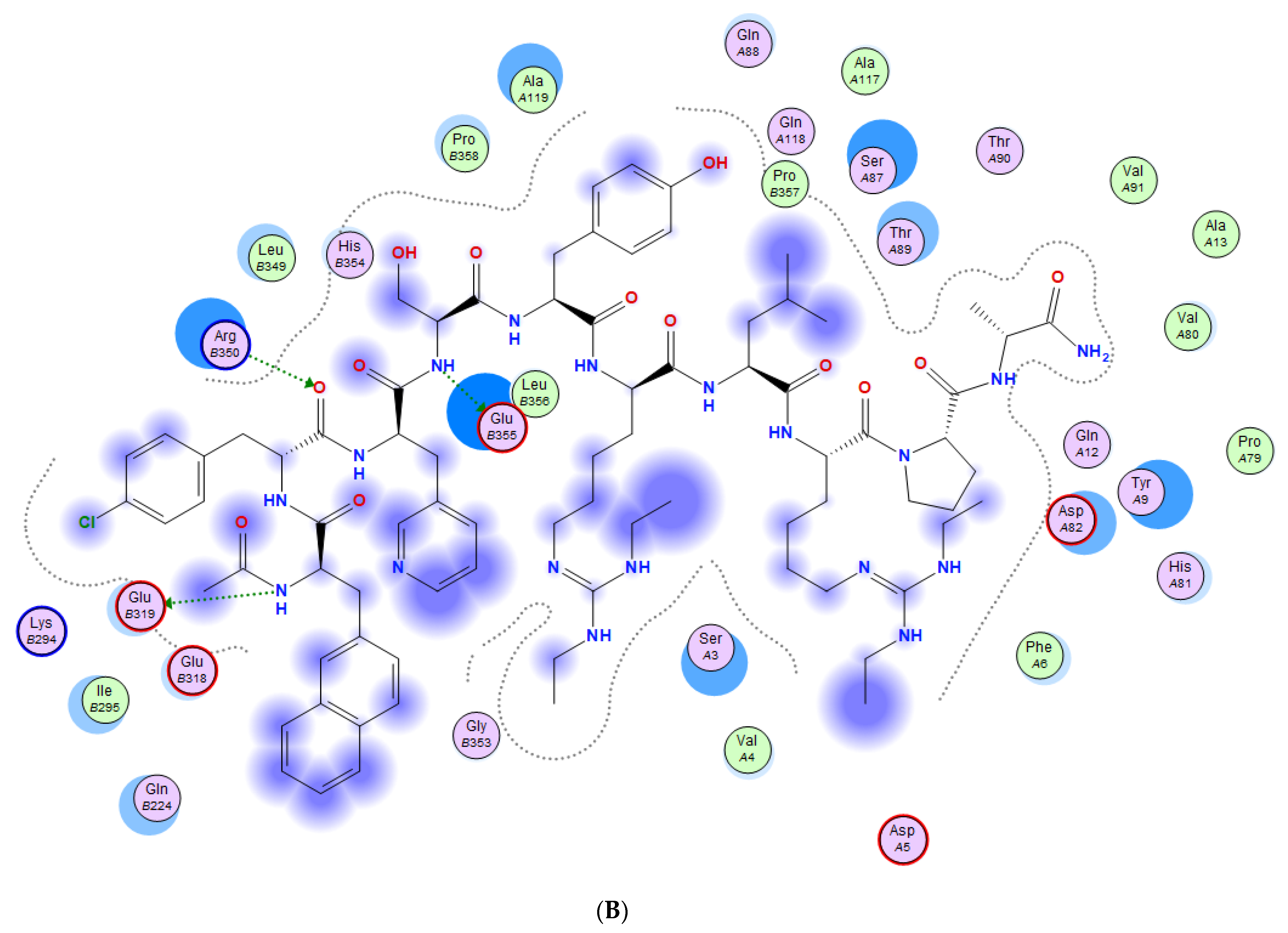 Pathogens 10 01634 g005b
