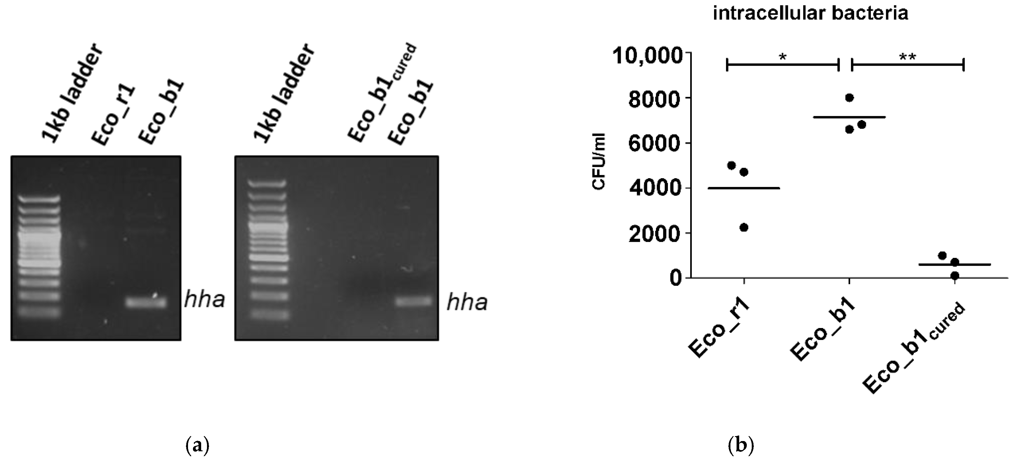 Pathogens 10 01645 g003a