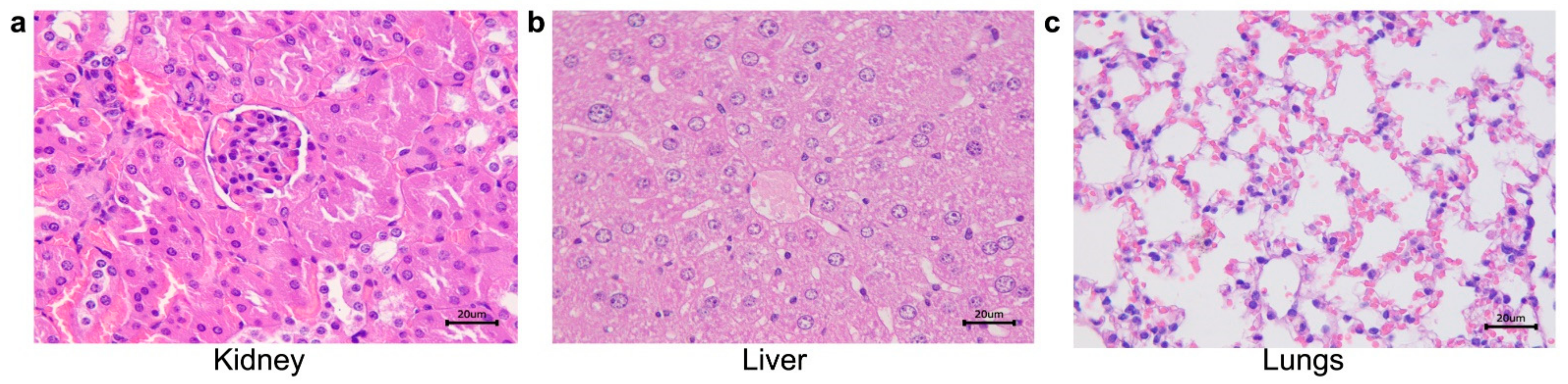 Pathogens 10 01647 g010 Pathogens 10 01647 g010