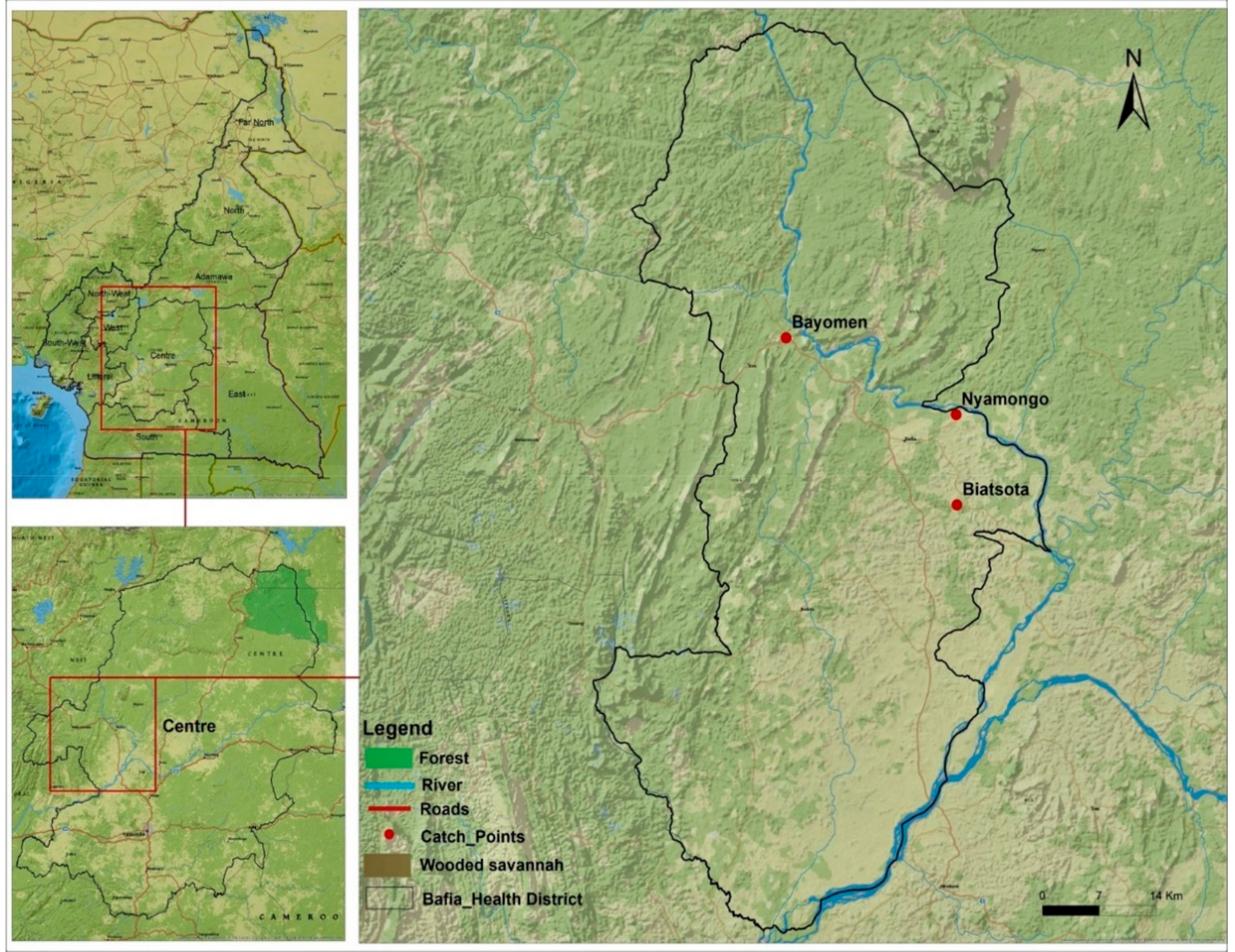 Pathogens 11 00044 g007