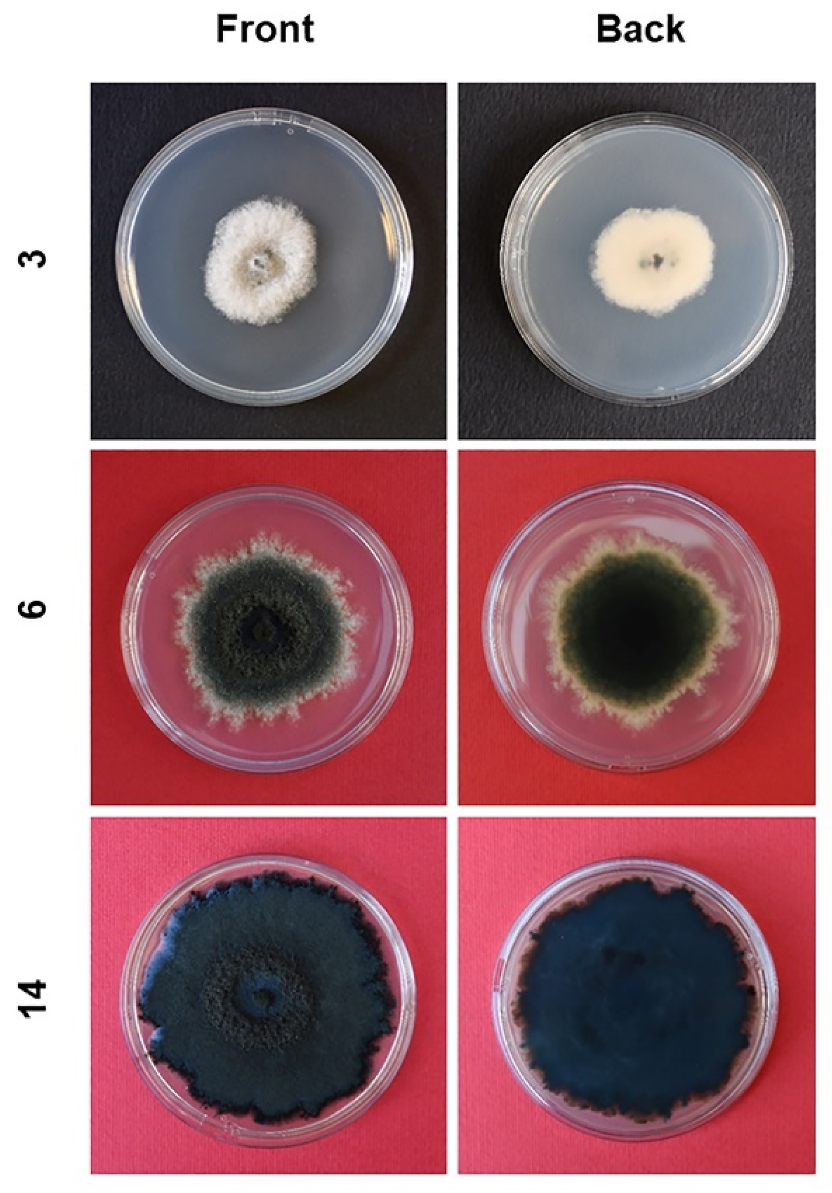 Pathogens 11 00053 g006