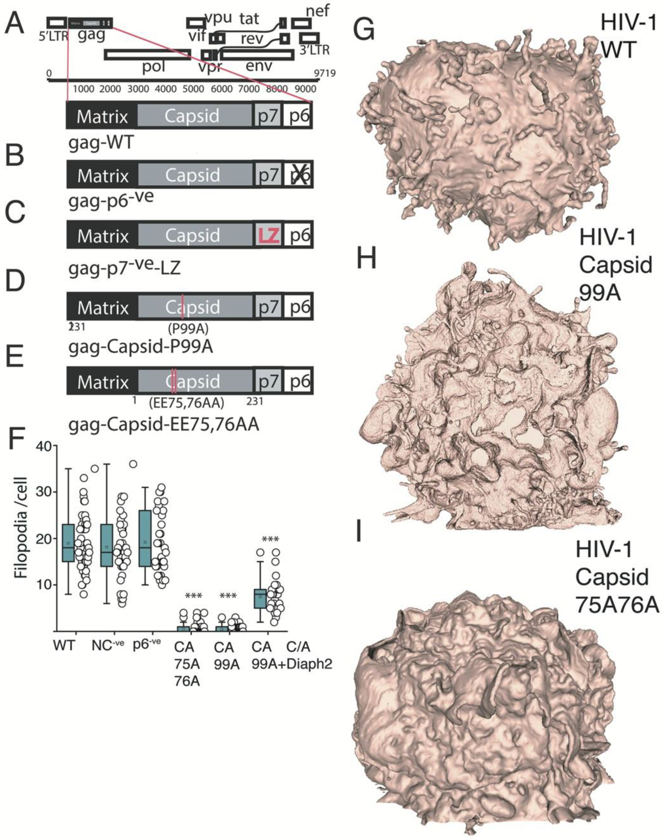 Pathogens 11 00056 g004