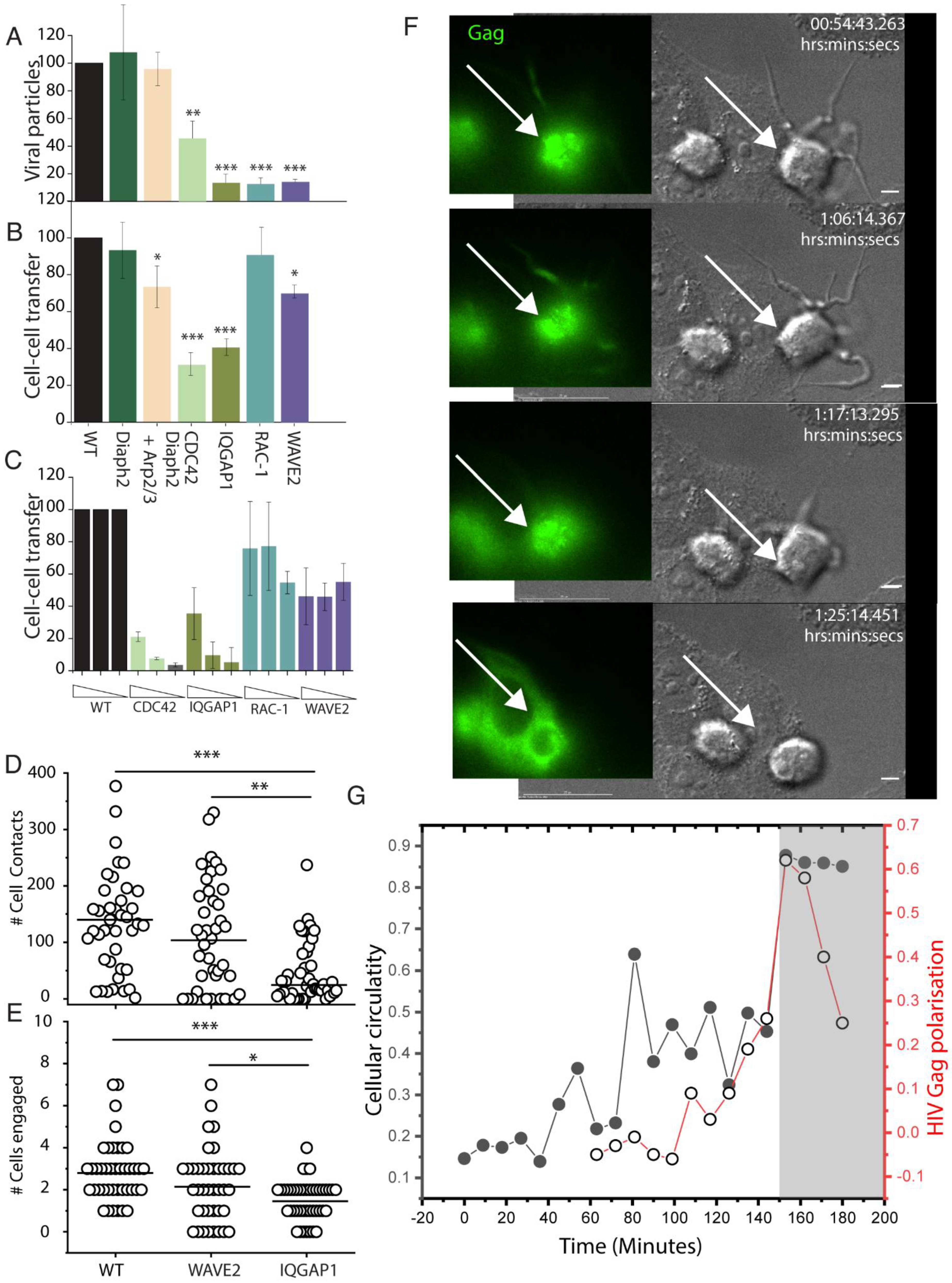 Pathogens 11 00056 g007