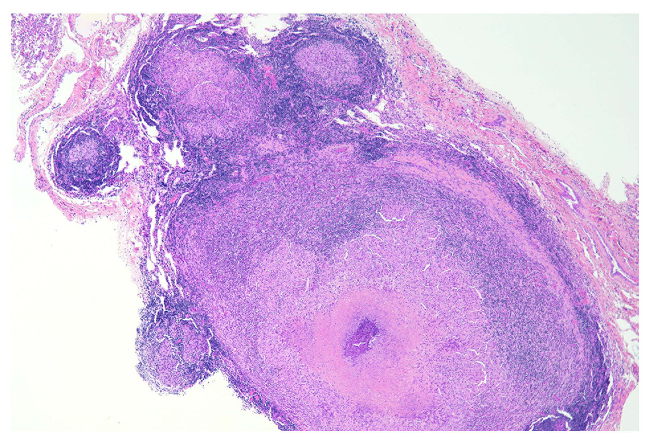 Pathogens 11 00061 g002 Pathogens 11 00061 g002