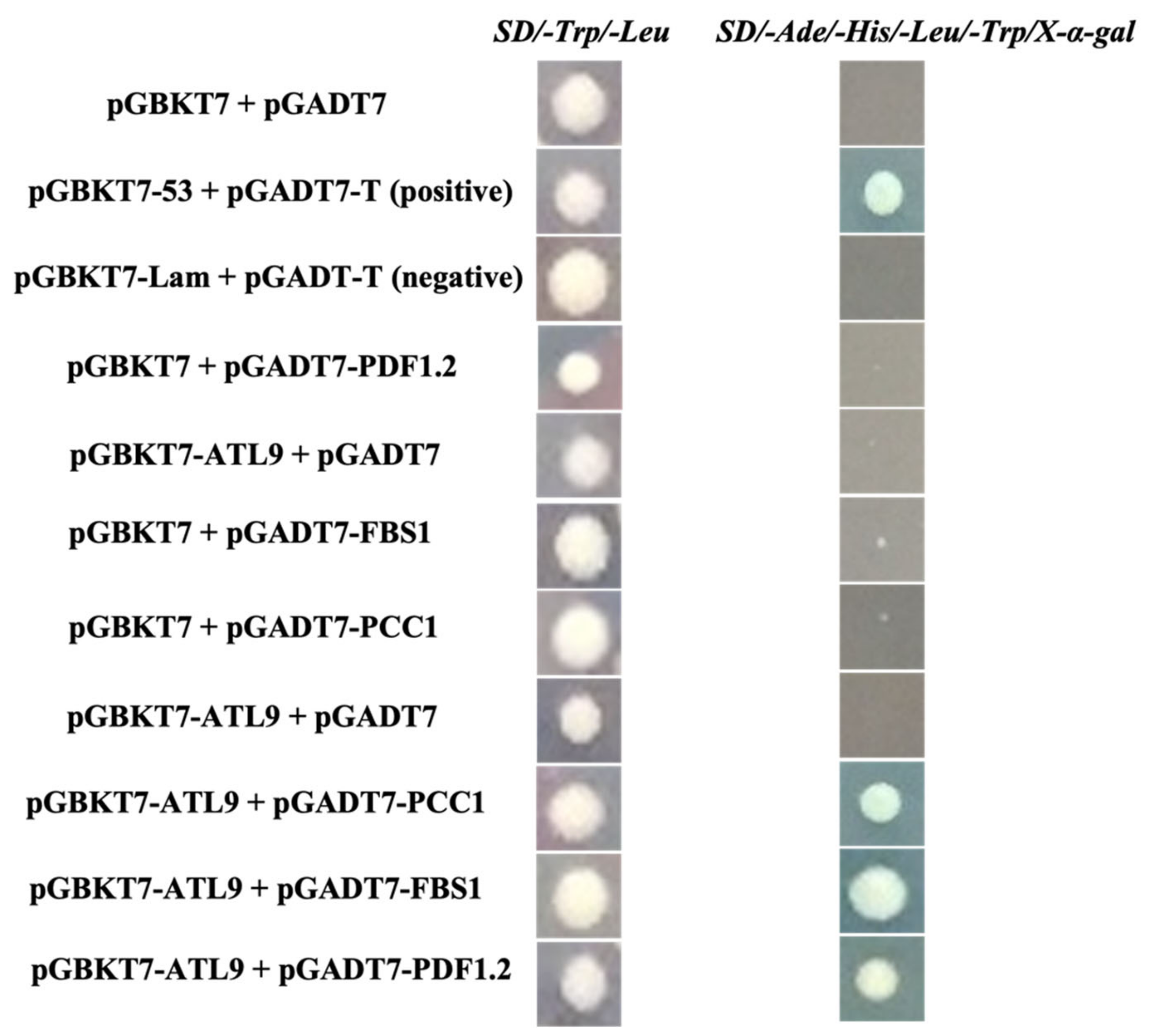 Pathogens 11 00068 g002