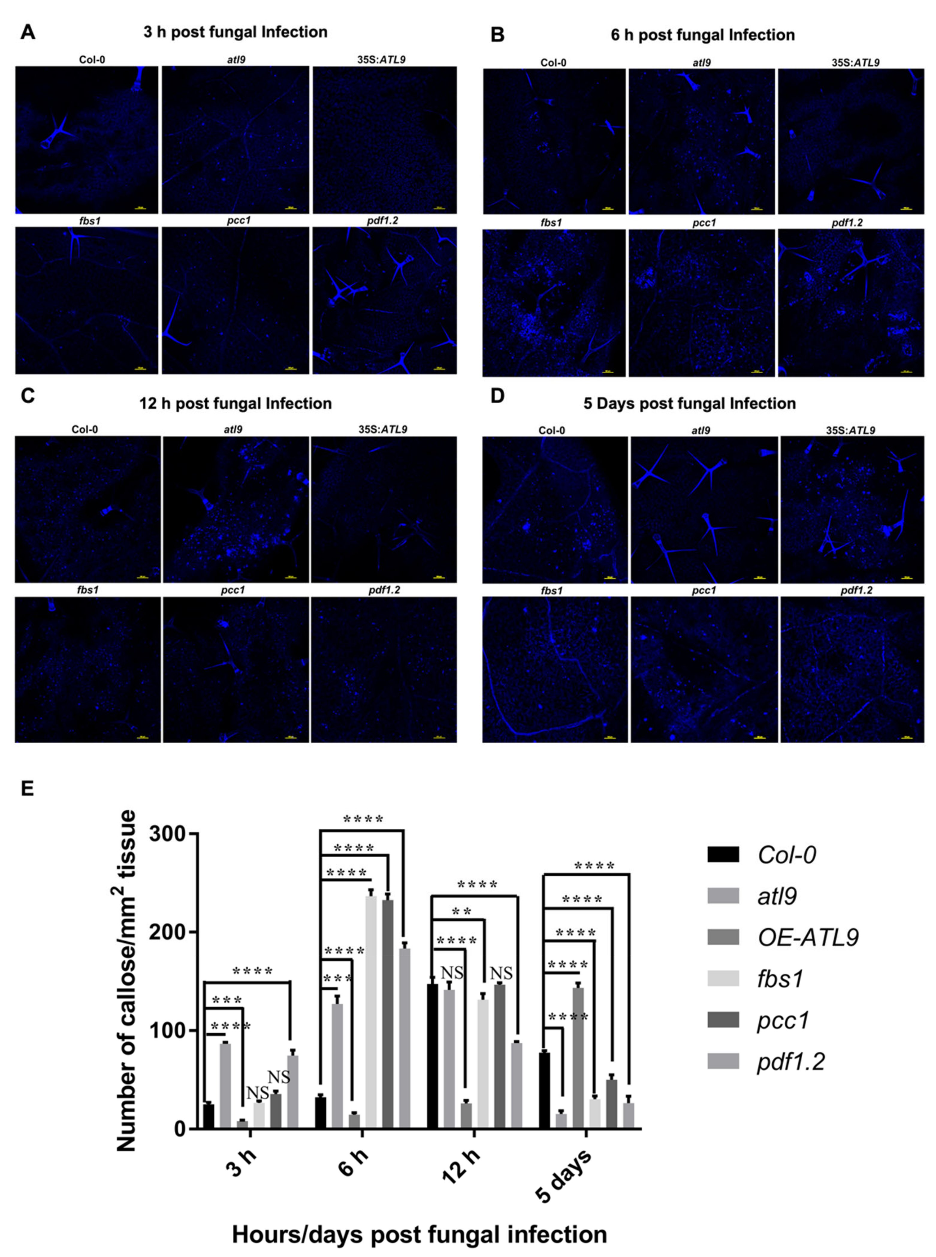 Pathogens 11 00068 g007