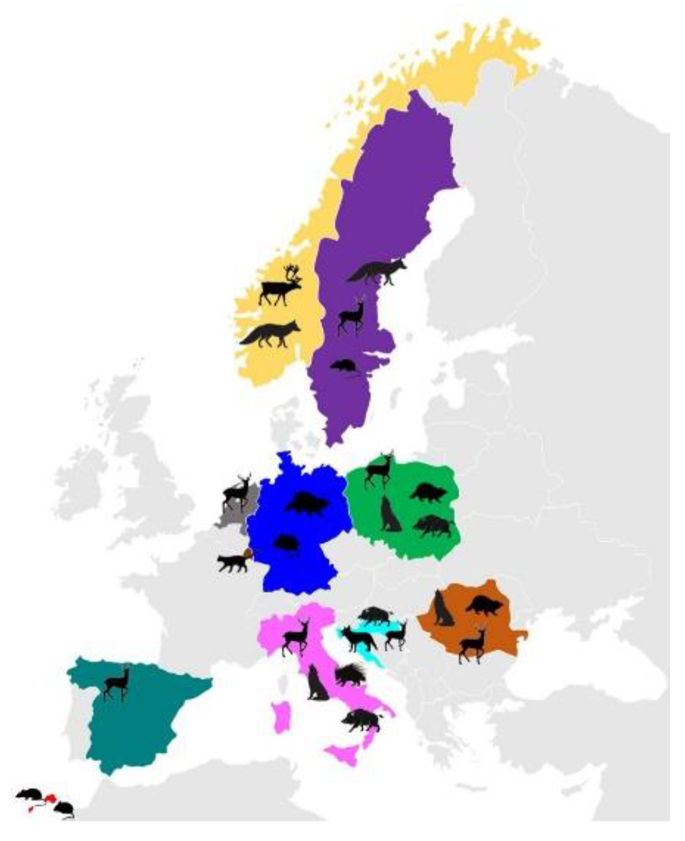 Pathogens 11 00105 g001