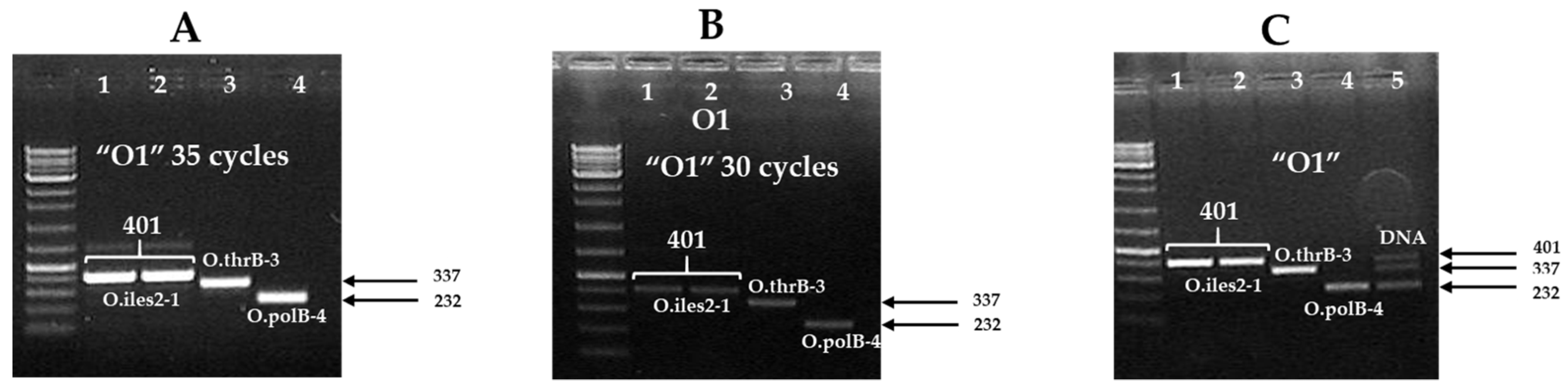 Pathogens 11 00115 g003