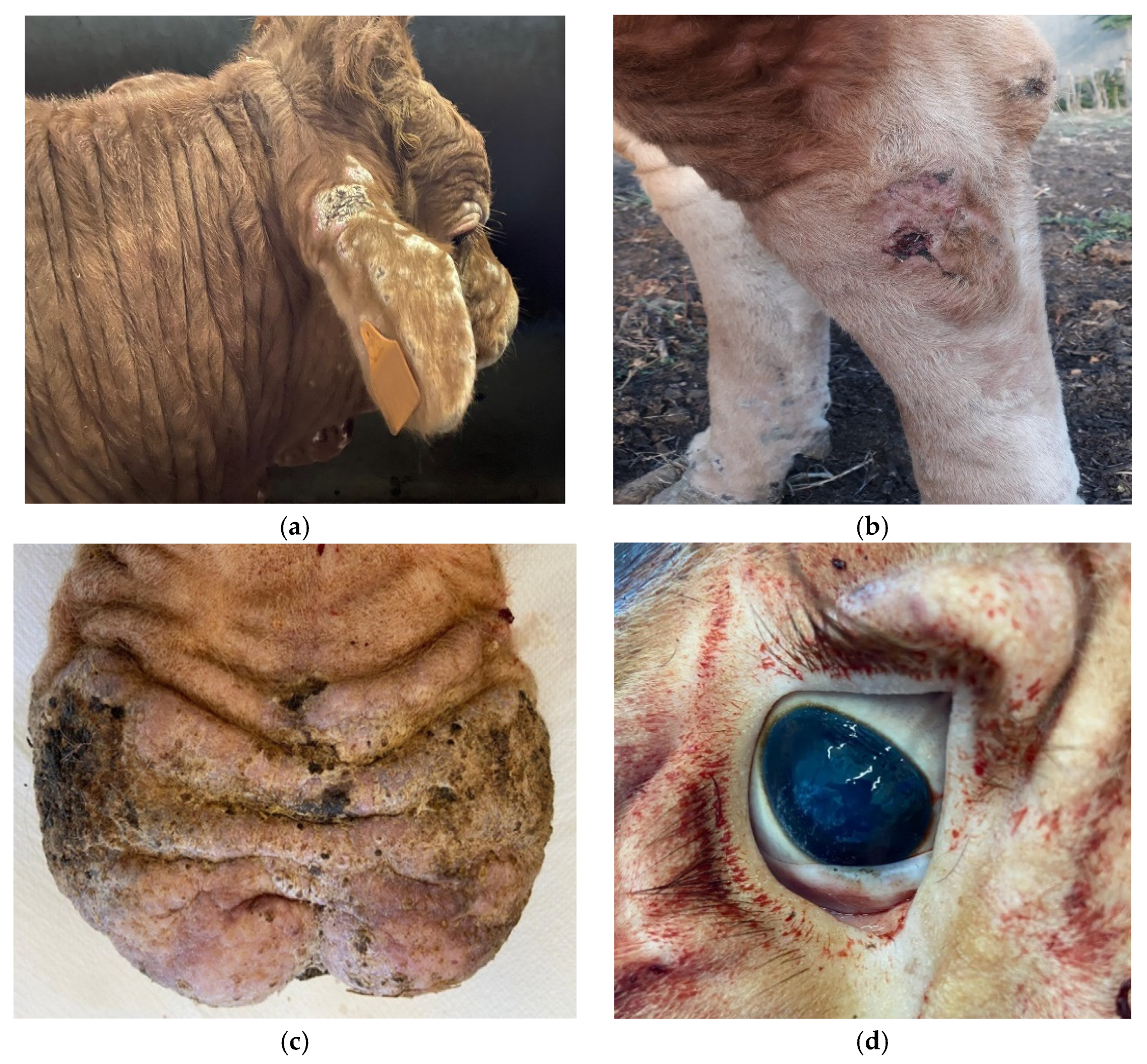 Pathogens 11 00122 g001