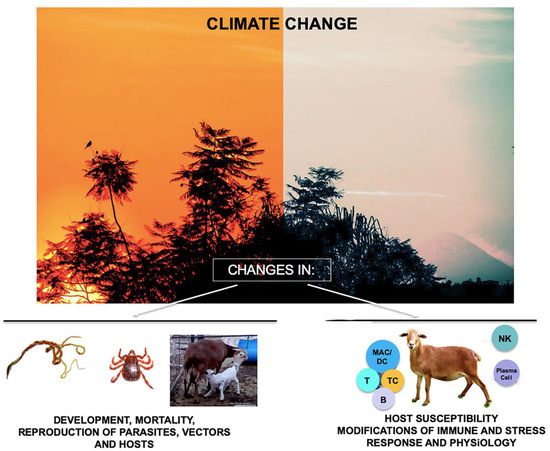 Pathogens | Free Full-Text | A Review of the Impact of Climate Change on  the Epidemiology of Gastrointestinal Nematode Infections in Small Ruminants  and Wildlife in Tropical Conditions