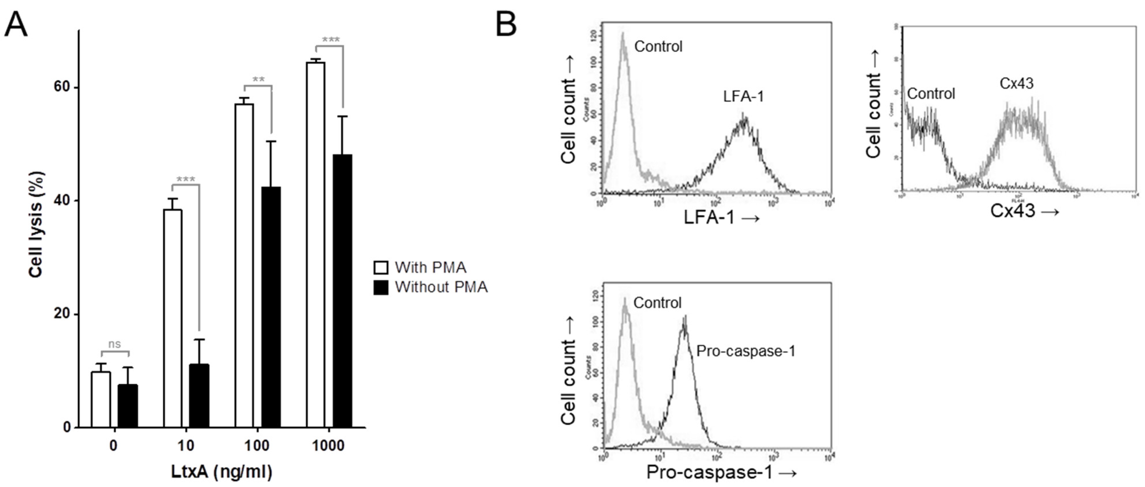 Pathogens 11 00159 g001