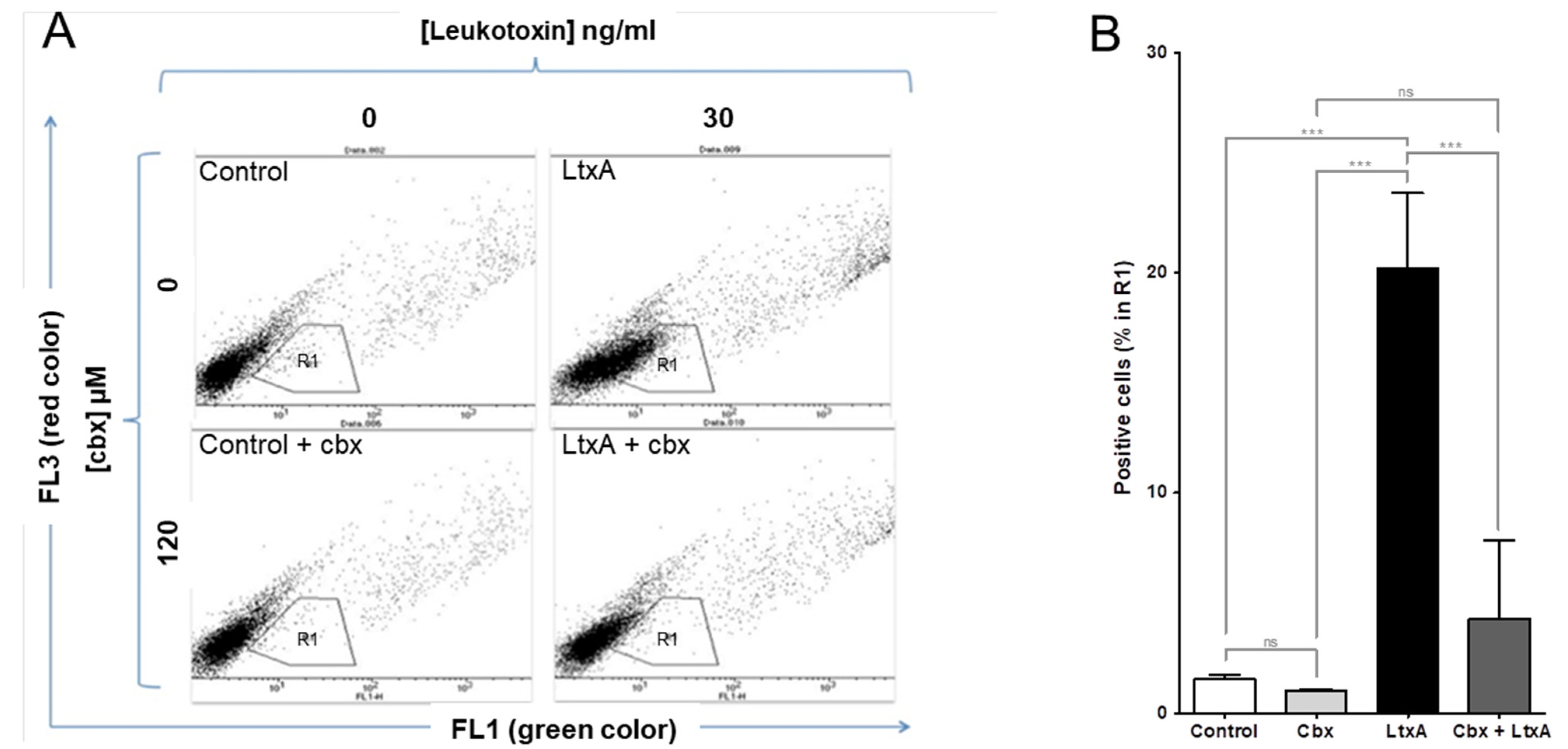 Pathogens 11 00159 g004