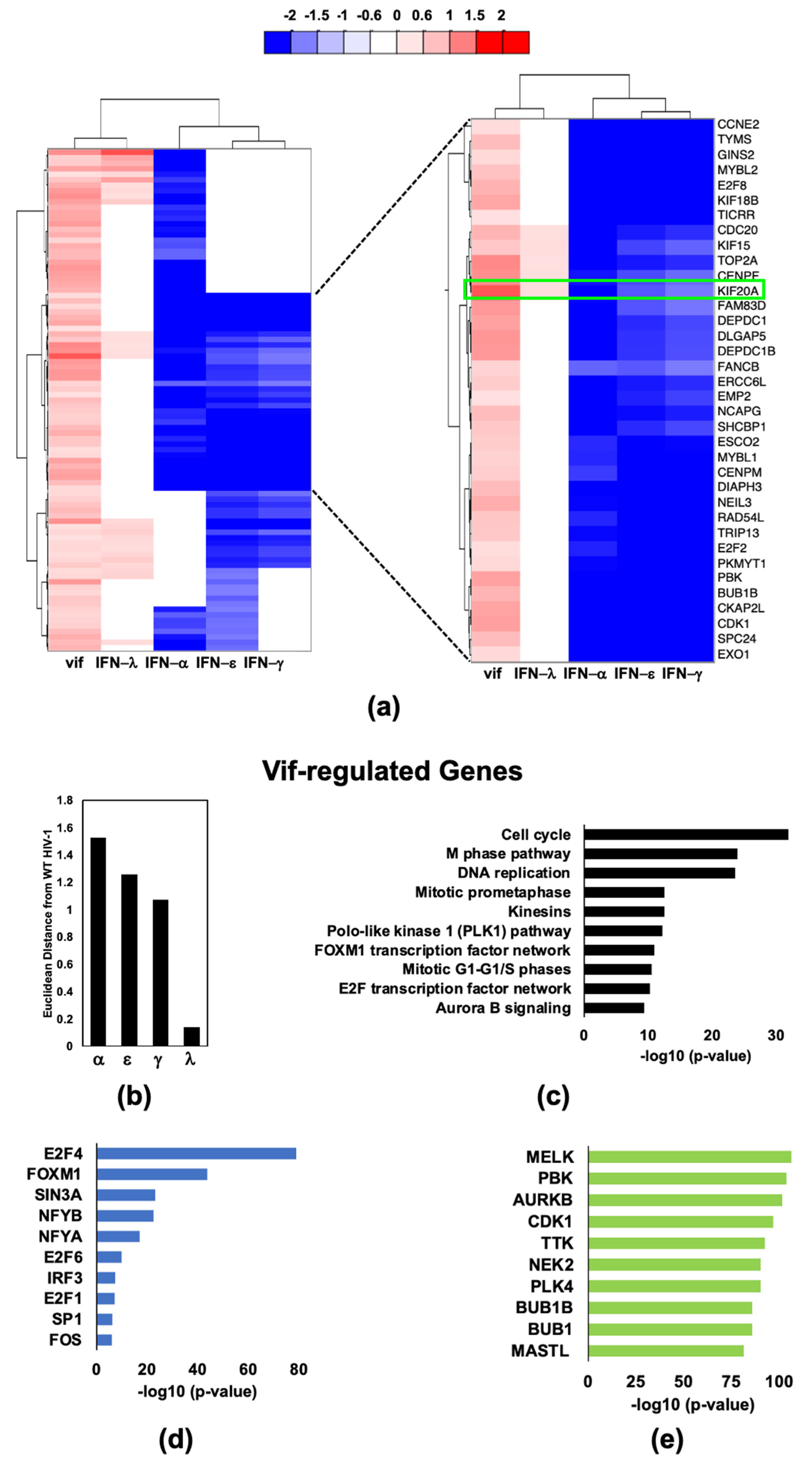 Pathogens 11 00163 g005