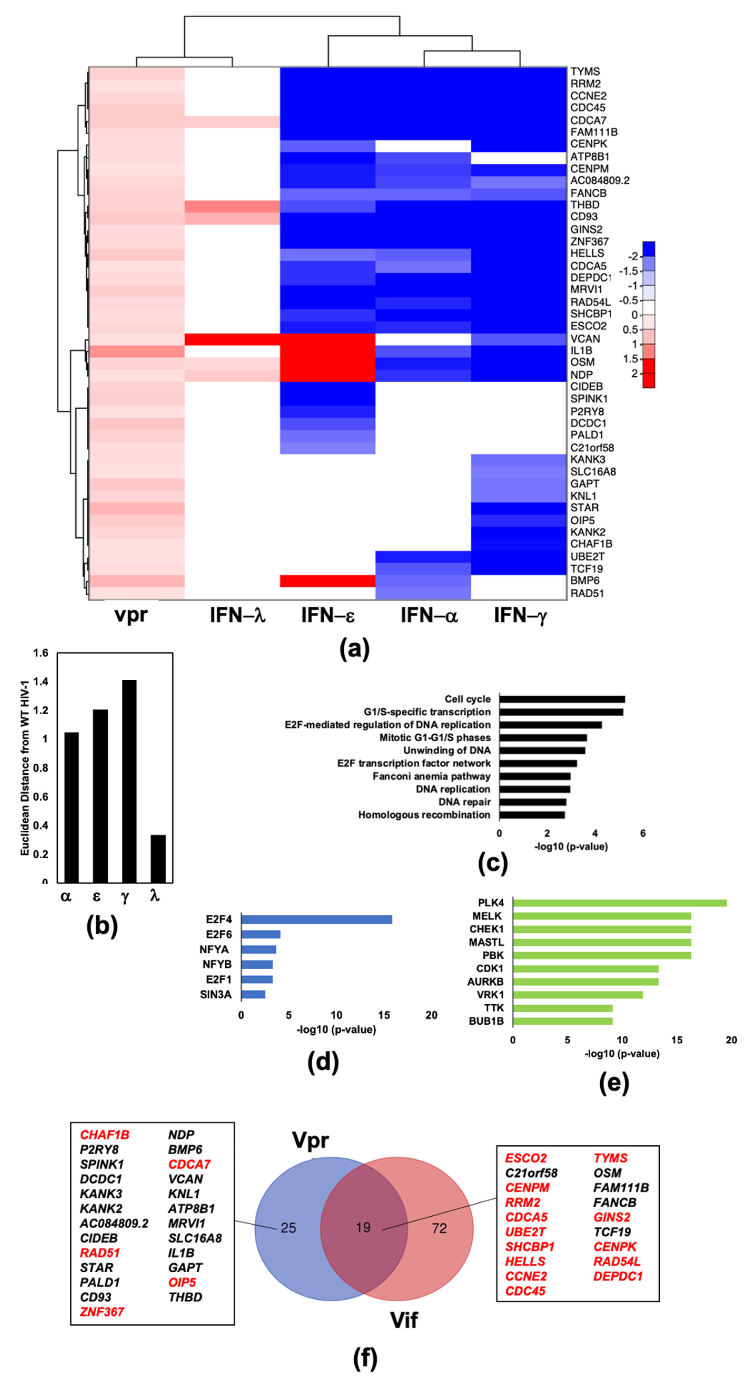 Pathogens 11 00163 g007