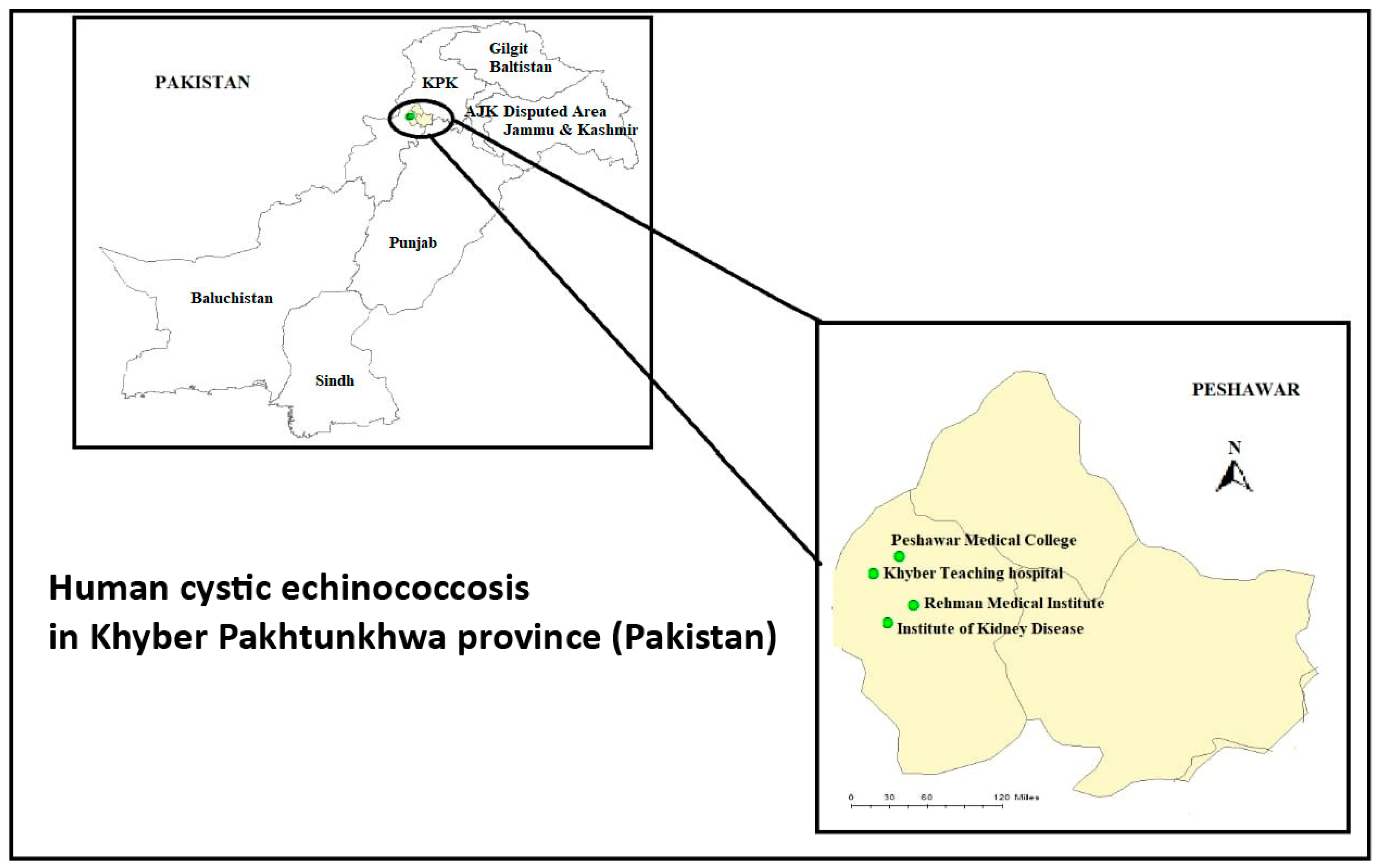 Pathogens 11 00194 g001