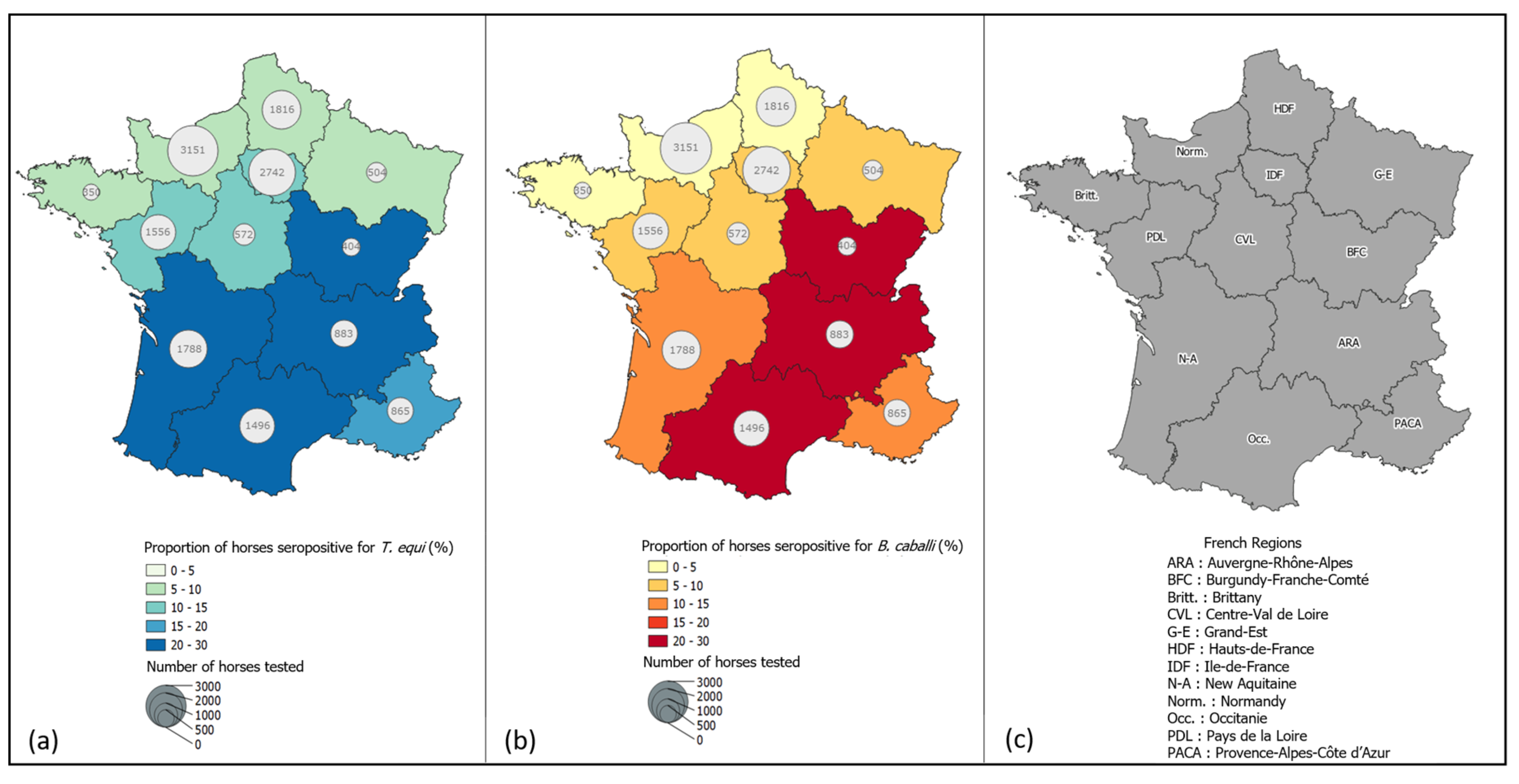 Pathogens | Free Full-Text | Spatial and Temporal Circulation of Babesia  caballi and Theileria equi in France Based on Seven Years of Serological  Data