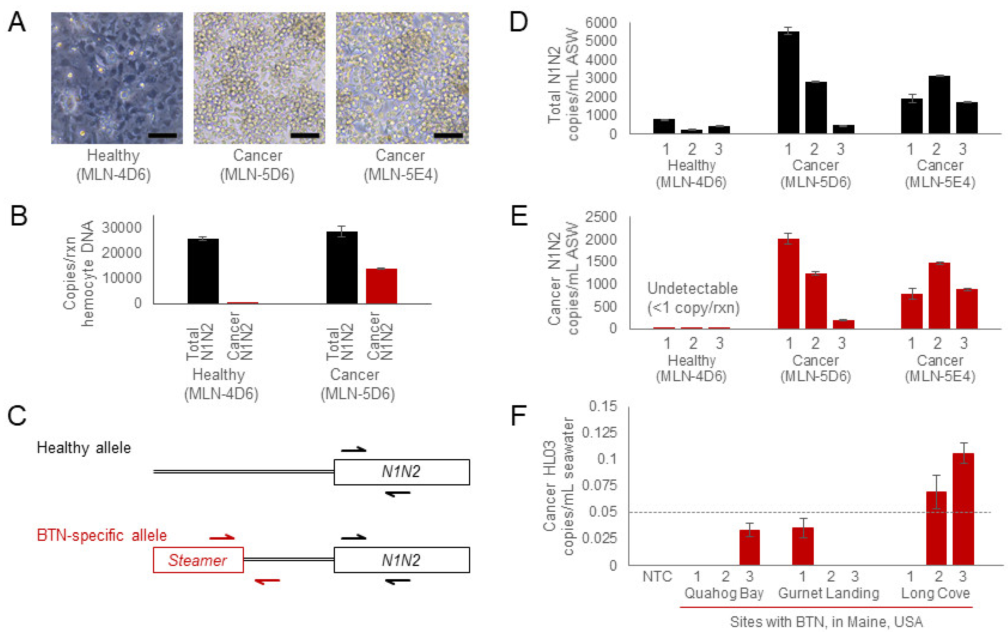 Pathogens 11 00283 g004