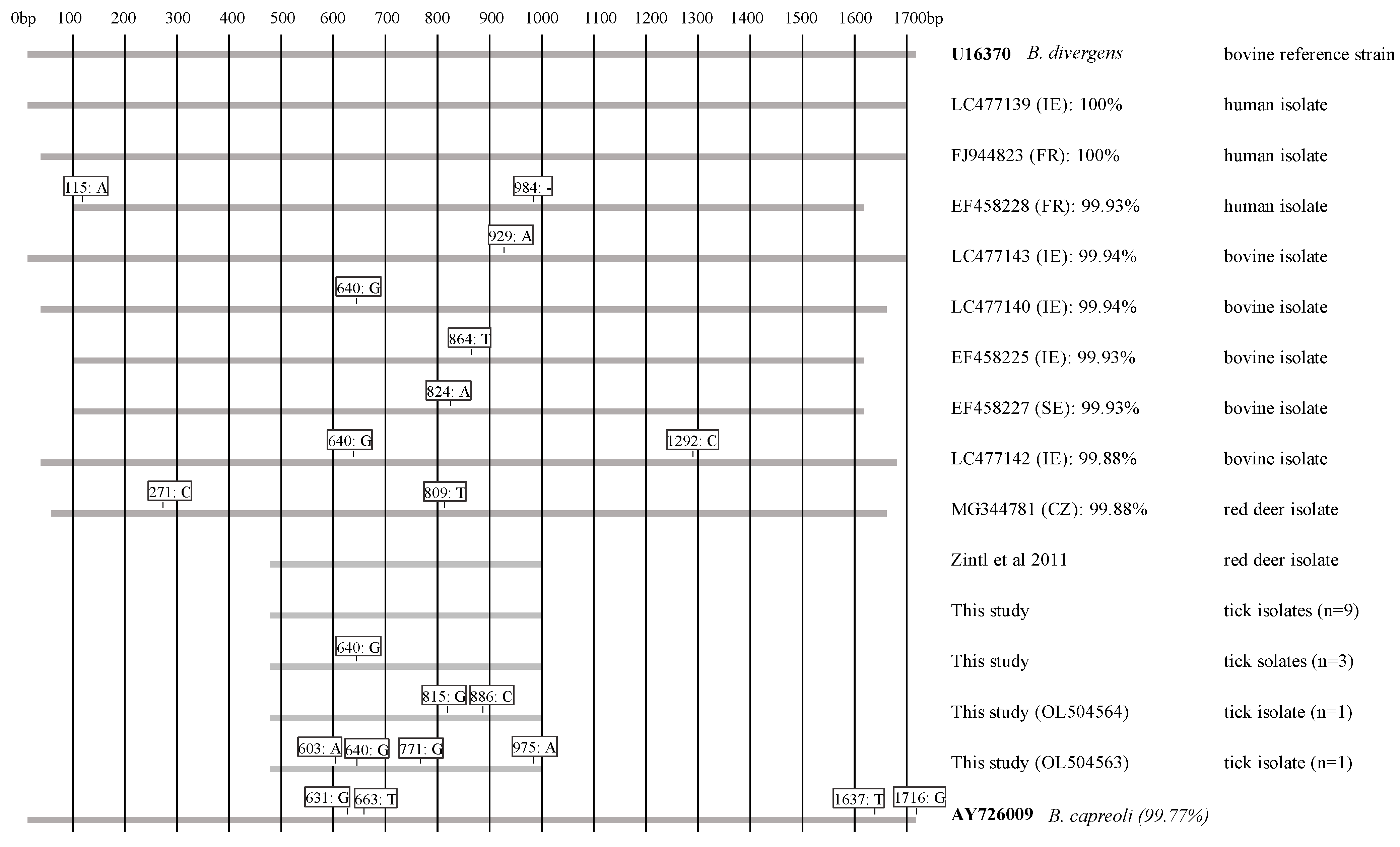 Pathogens 11 00312 g001 Pathogens 11 00312 g001