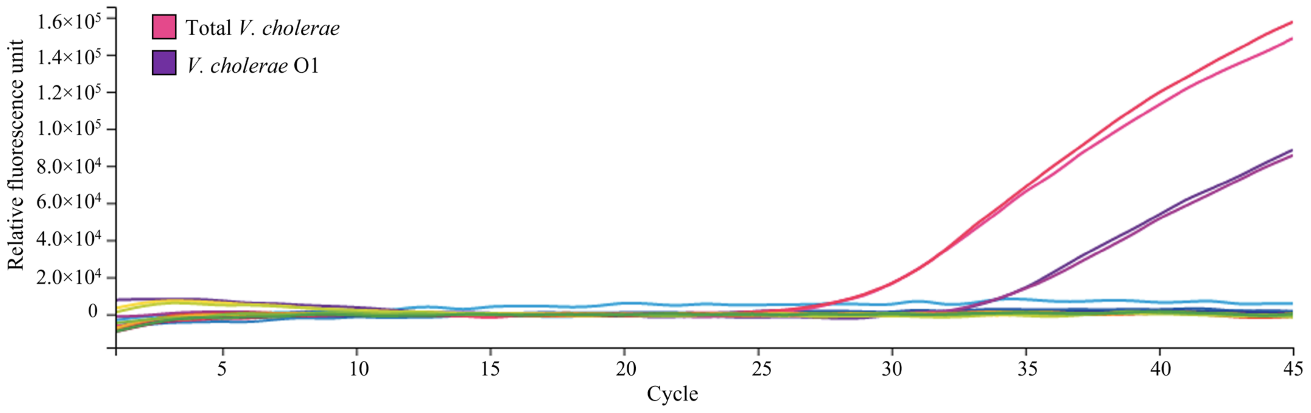 Pathogens 11 00363 g003 Pathogens 11 00363 g003